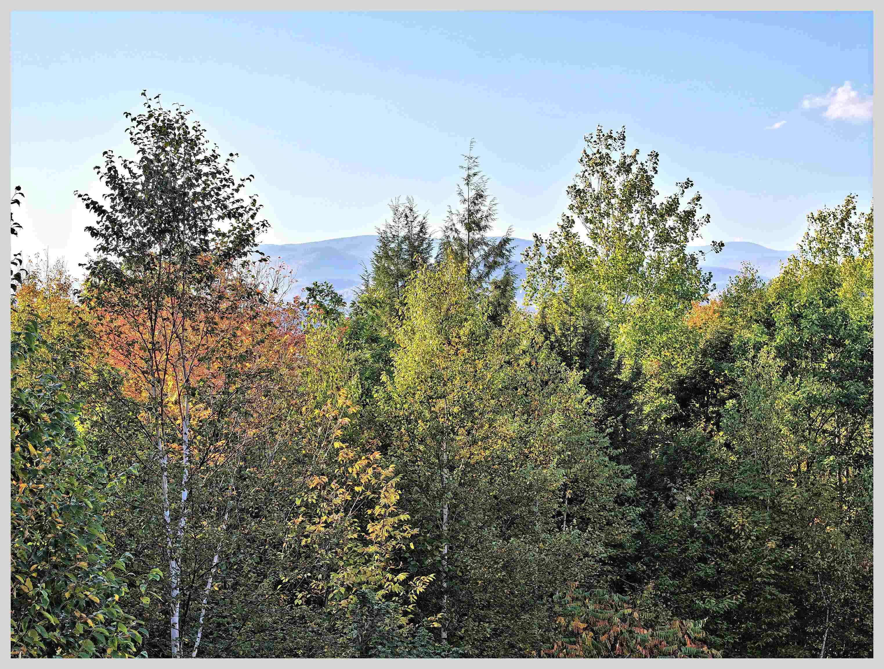 MLS #5063947 image #27