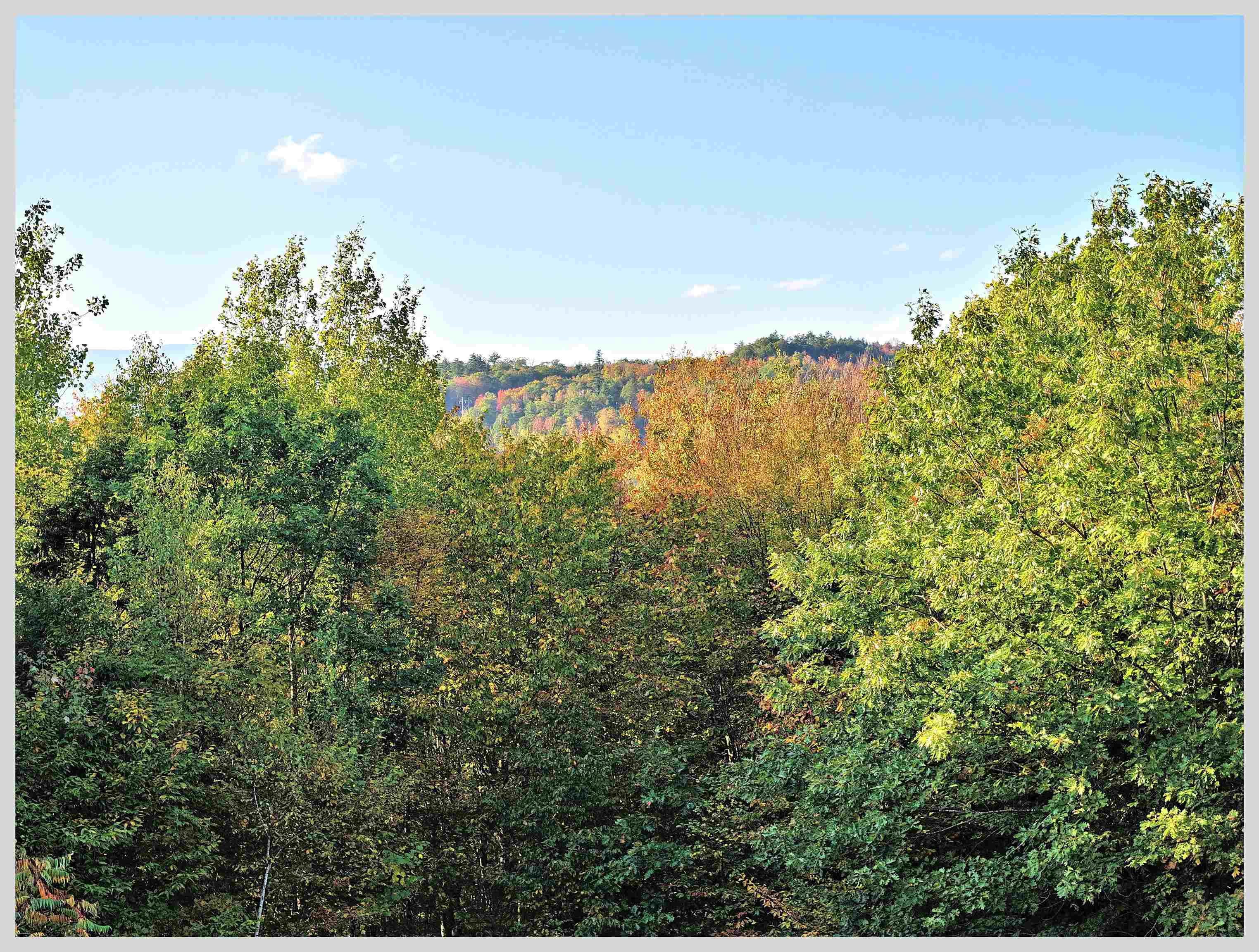 MLS #5063947 image #48