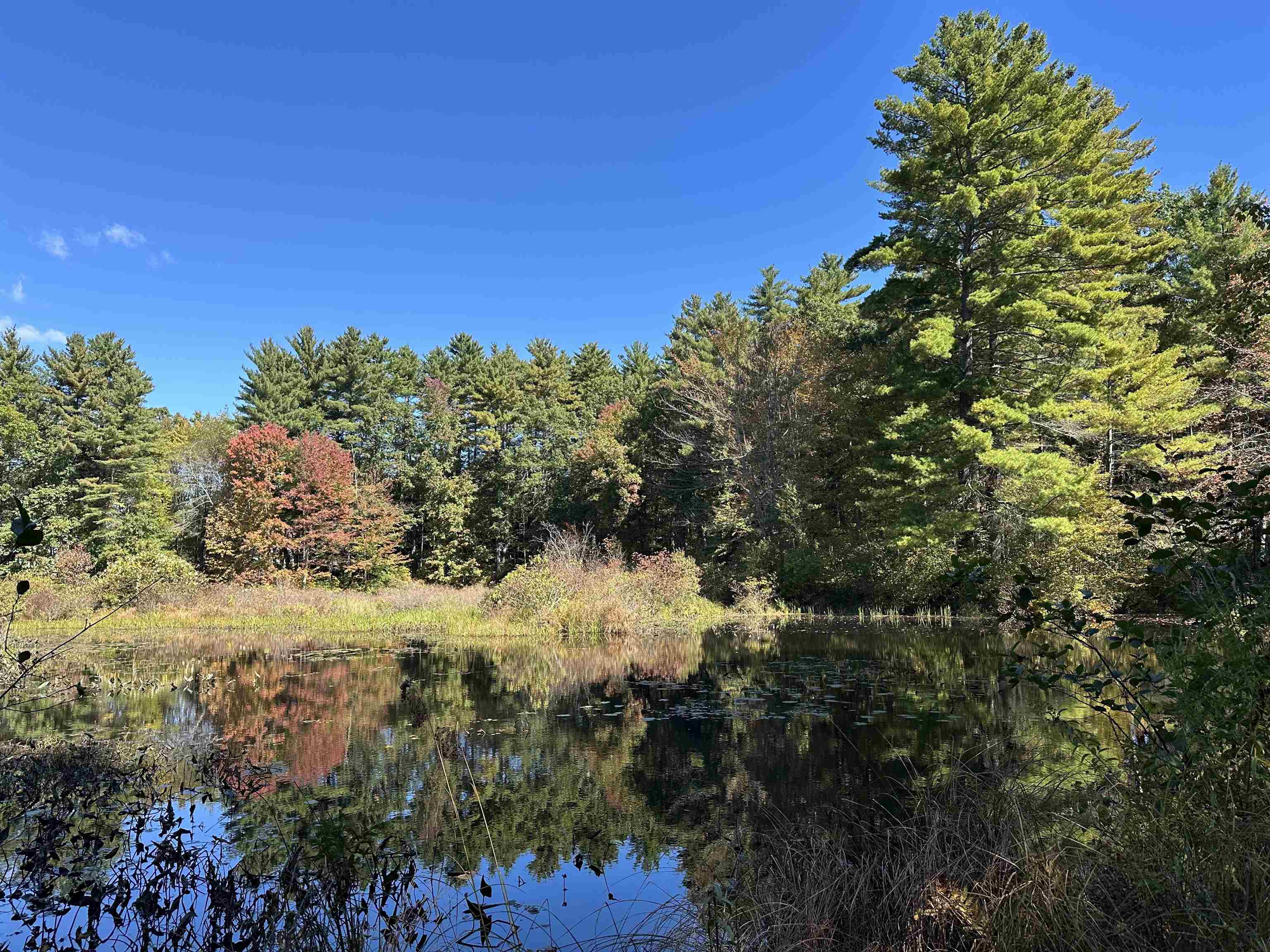 Photo of 22 Ponemah Road Amherst NH 03031