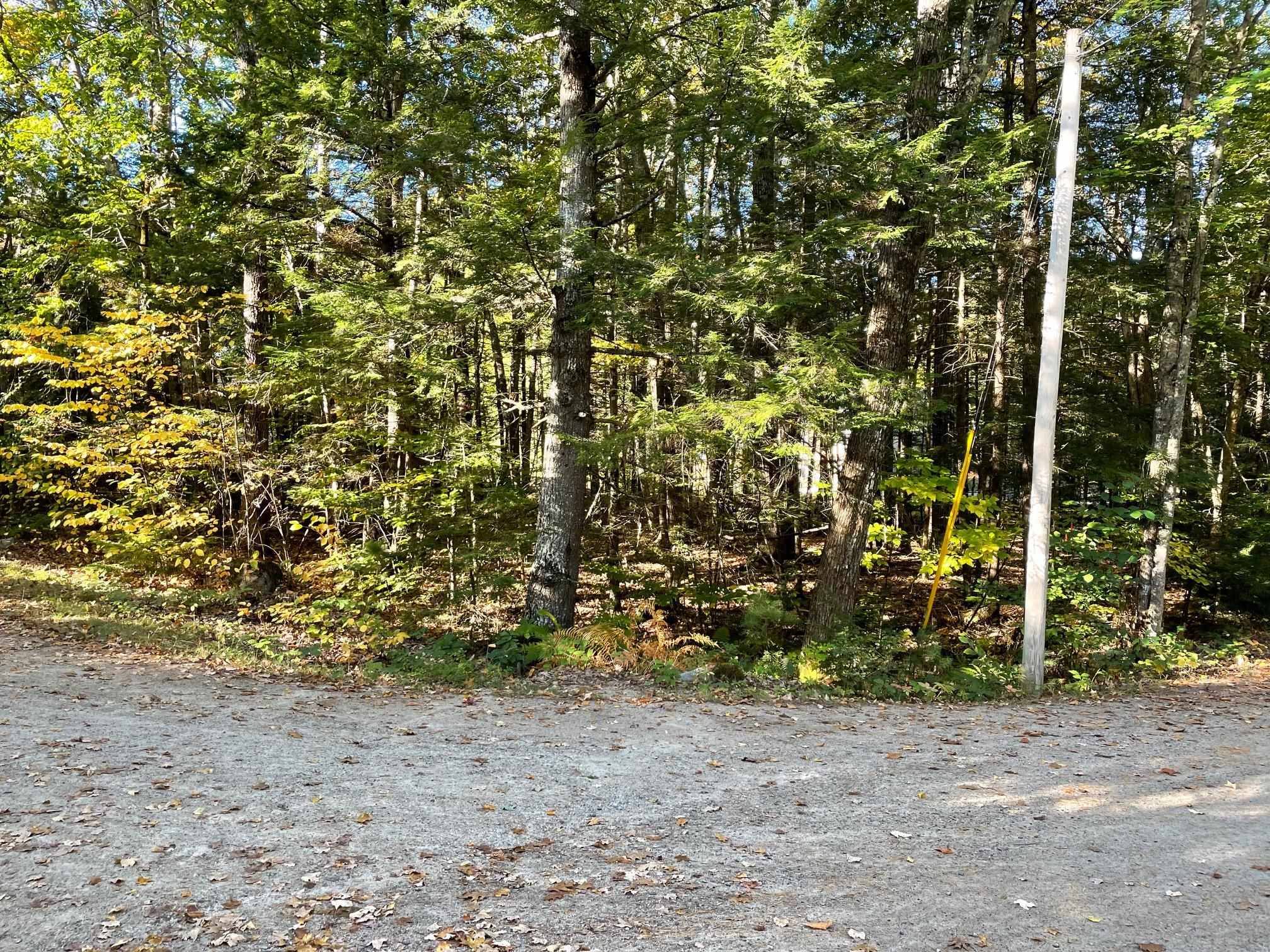 MLS #5063990 image #4