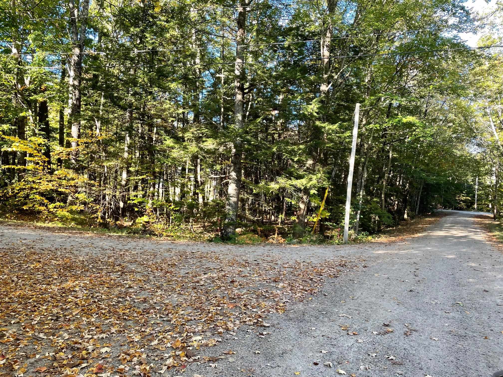 MLS #5063990 image #6