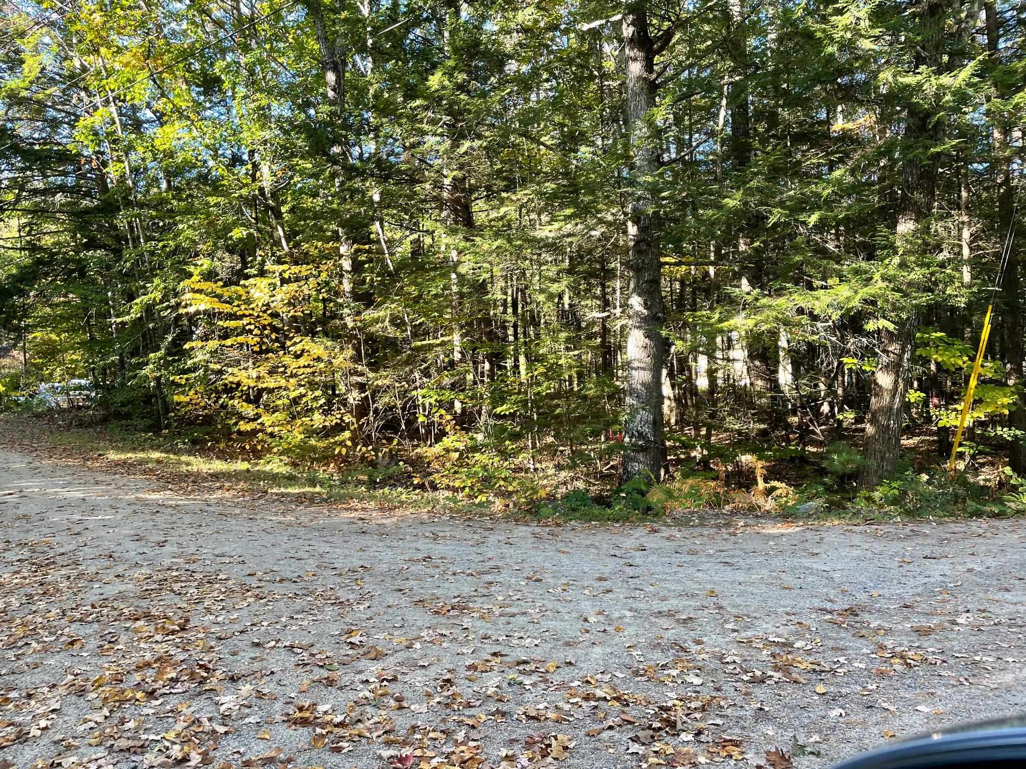 MLS #5063990 image #7