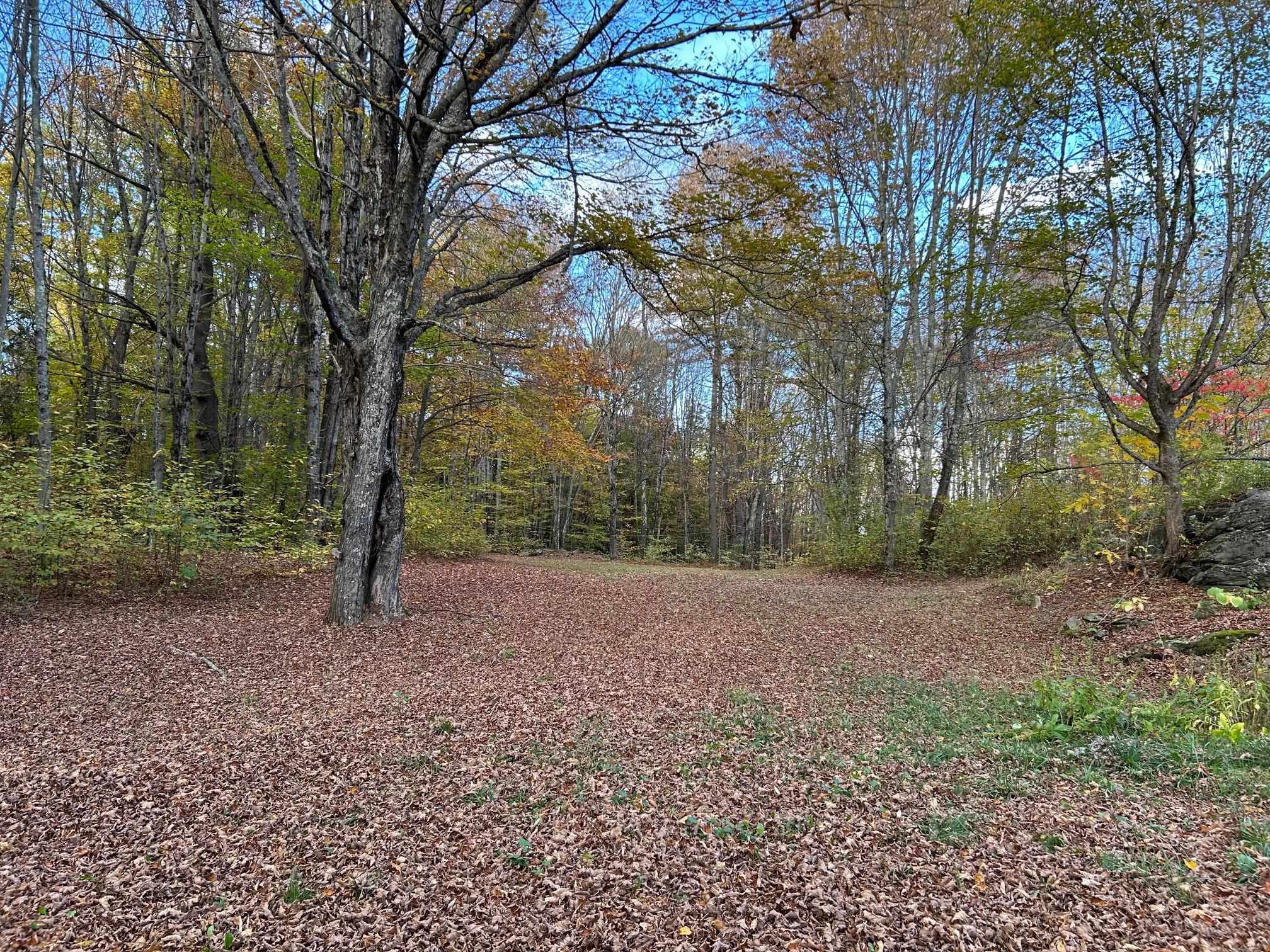 Level backyard 24200778