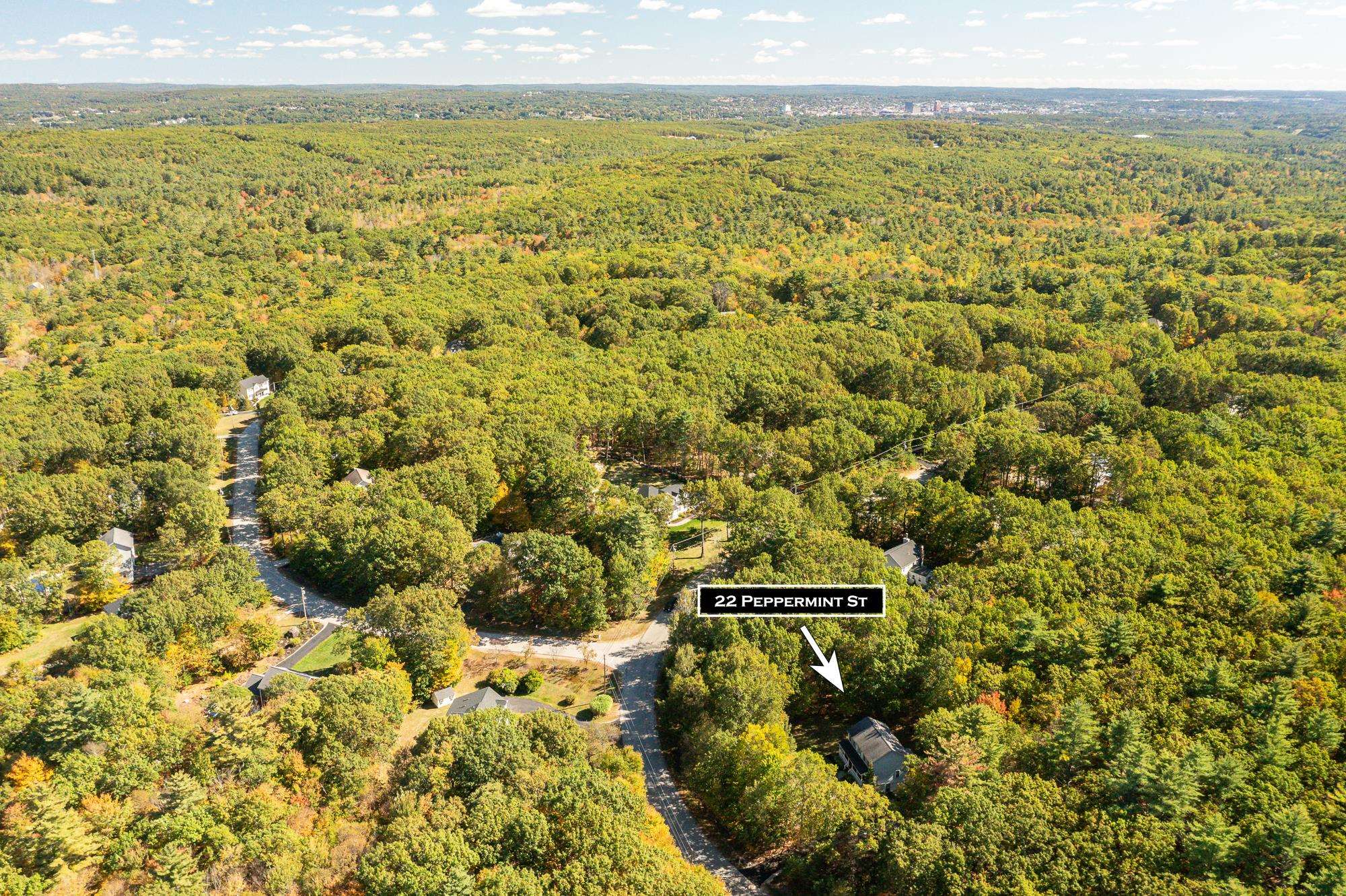 MLS #5064126 image #38