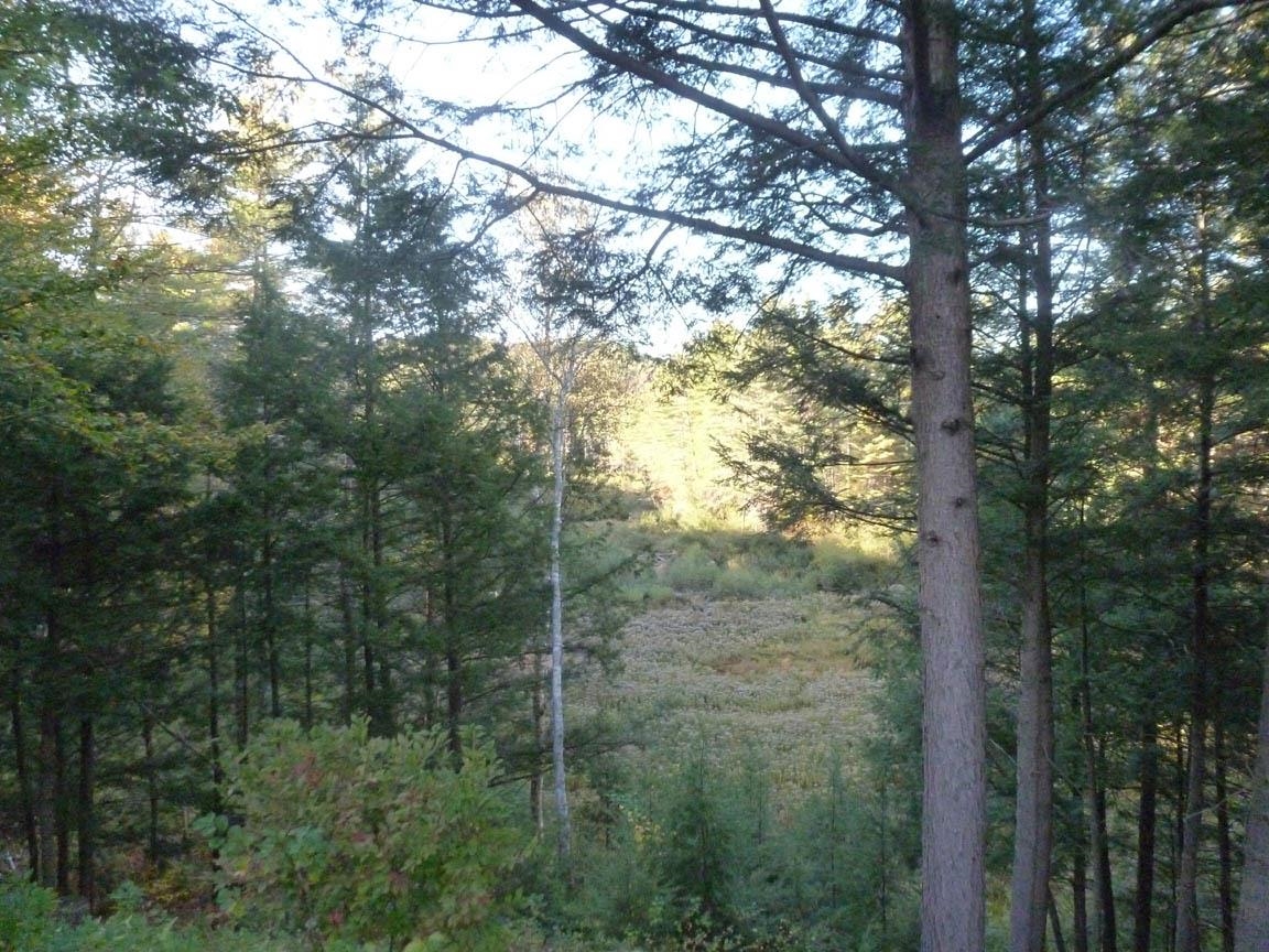 MLS #5064179 image #20