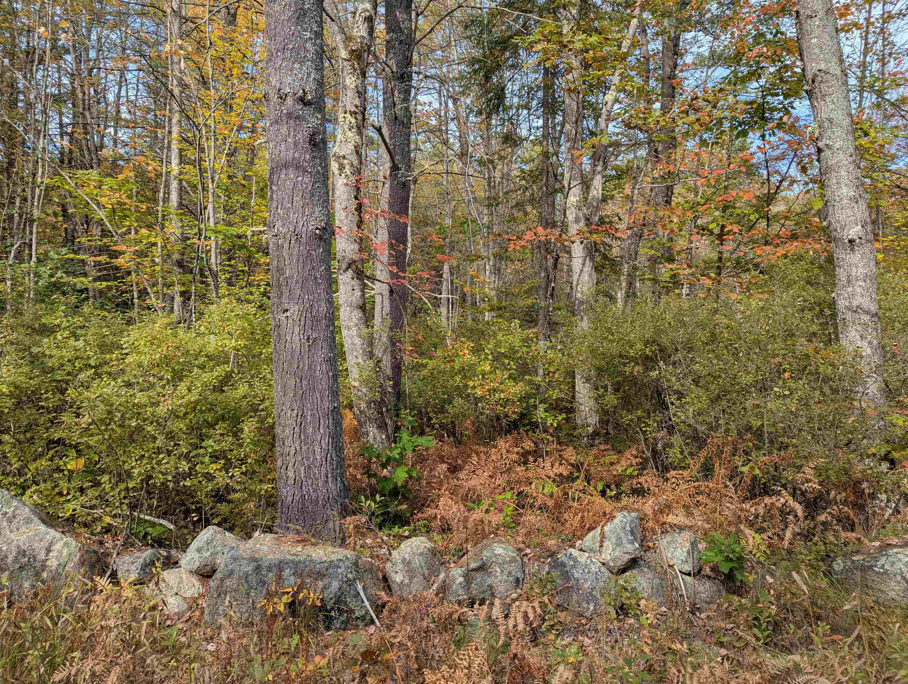 Homes for sale in Effingham, NH | 113 Jones Rd, Effingham, NH 03882 | MLS# 5064227