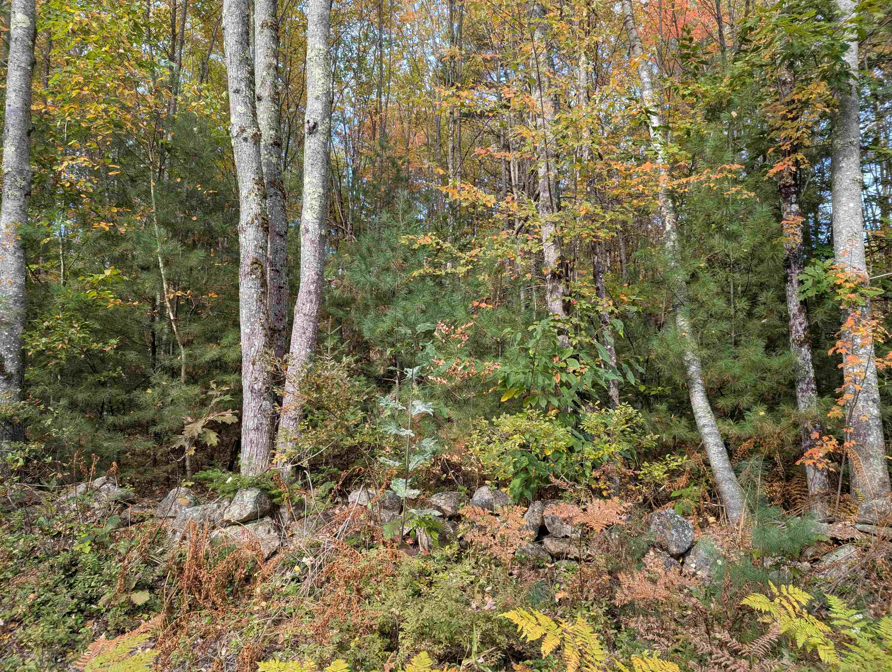 Homes for sale in Effingham, NH | 113 Jones Rd, Effingham, NH 03882 | MLS# 5064227