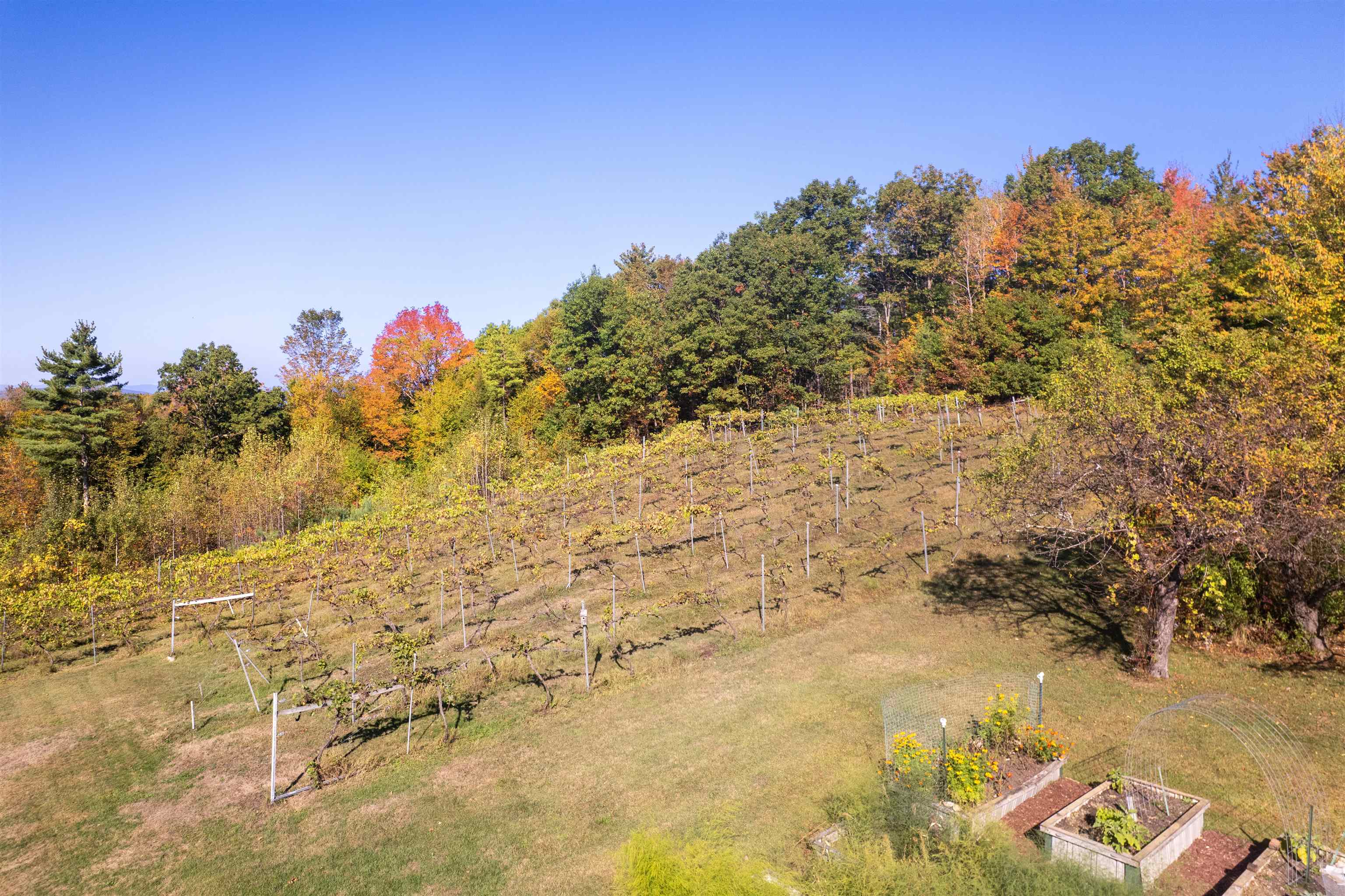 Homes for sale in Brandon, VT | 1975 Birch Hill Rd, Brandon, VT 05733 | MLS# 5064248