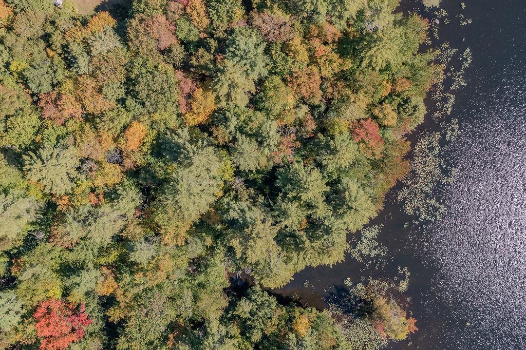 MLS #5064270 image #13