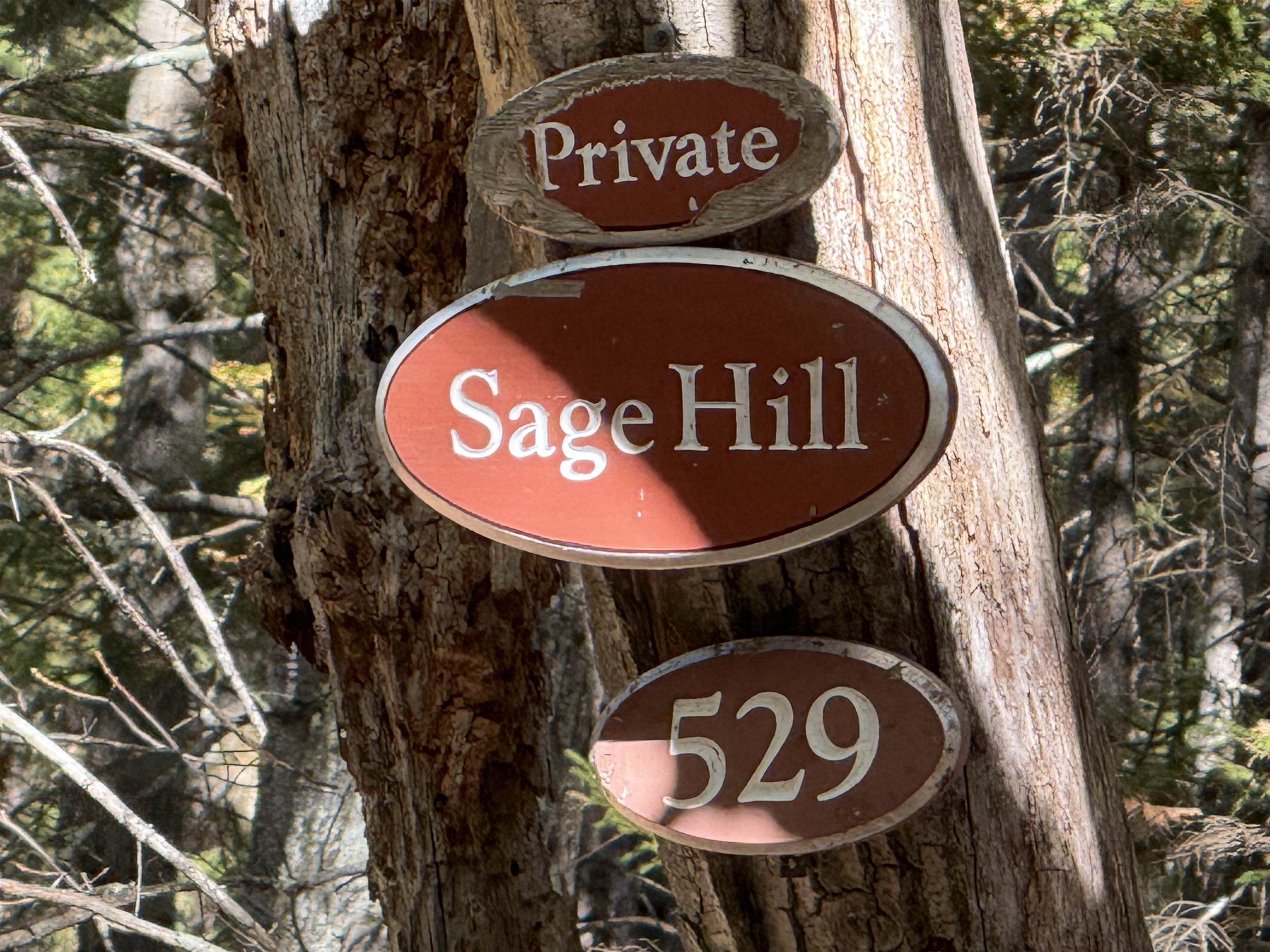 Homes for sale in Wardsboro, VT | 529 Finkel Rd, Wardsboro, VT 05355 | MLS# 5064326