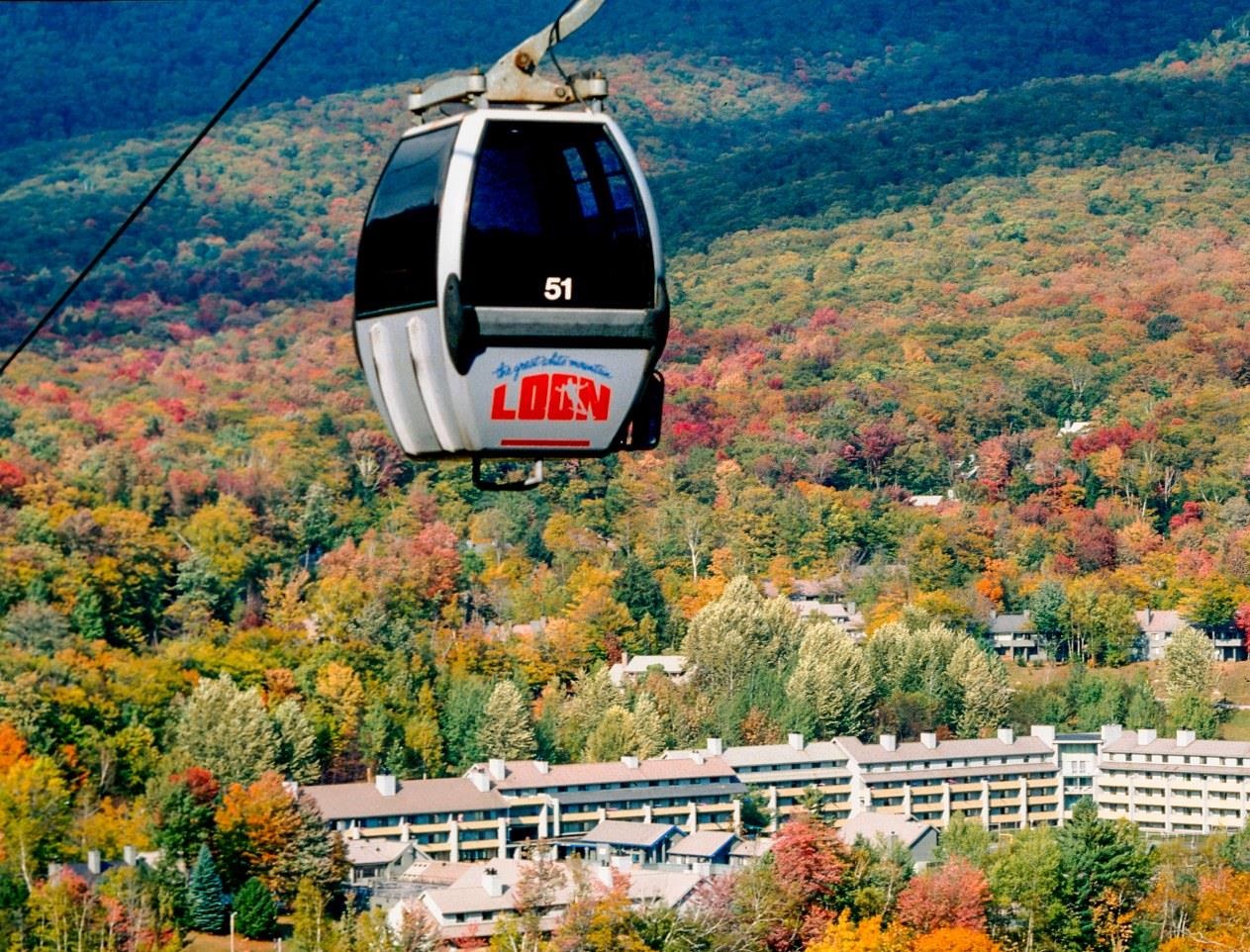 MLS #5064382 image #15