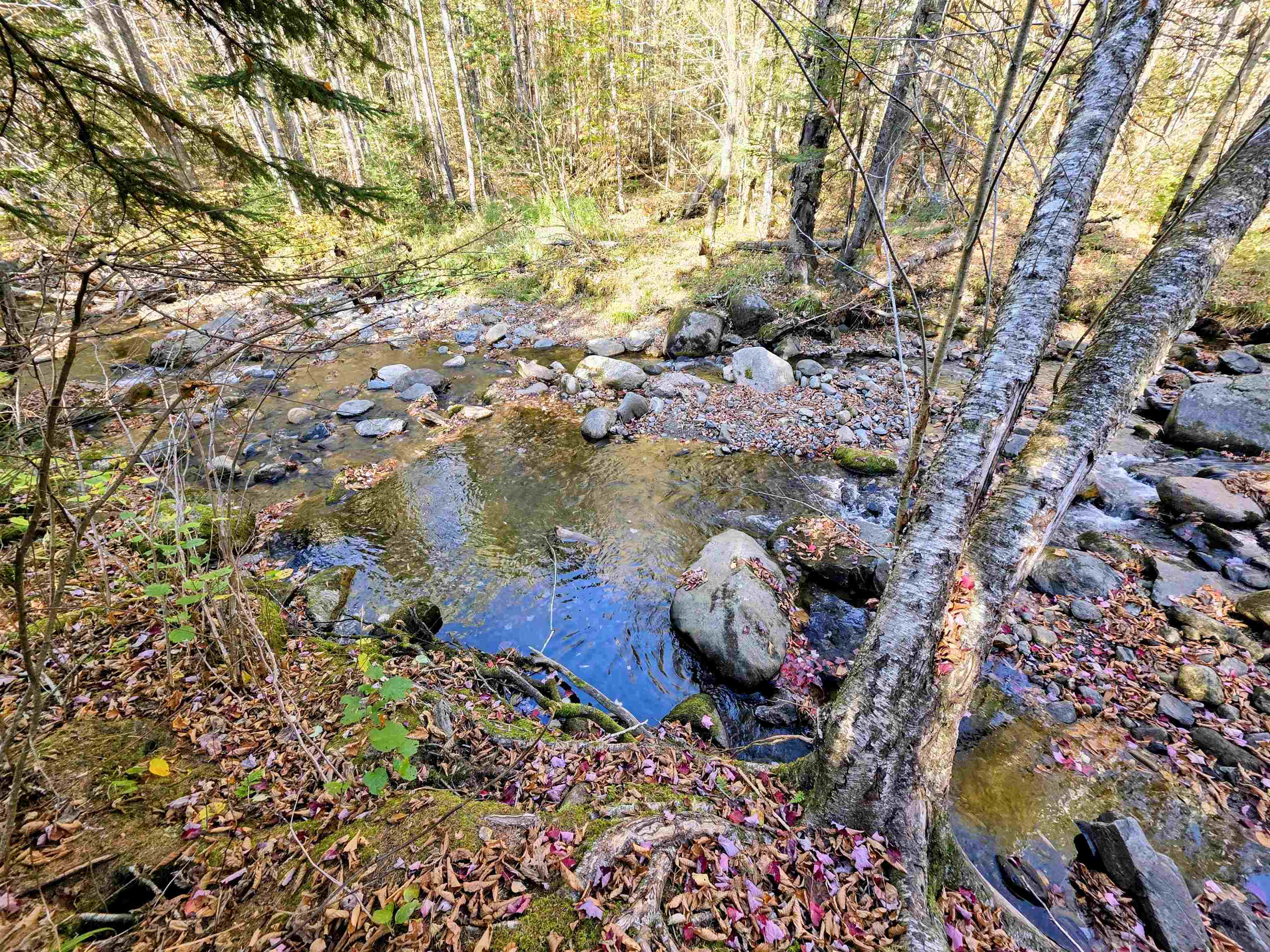 Homes for sale in Columbia, NH | Washburn Rd, Columbia, NH 03576 | MLS# 5064400