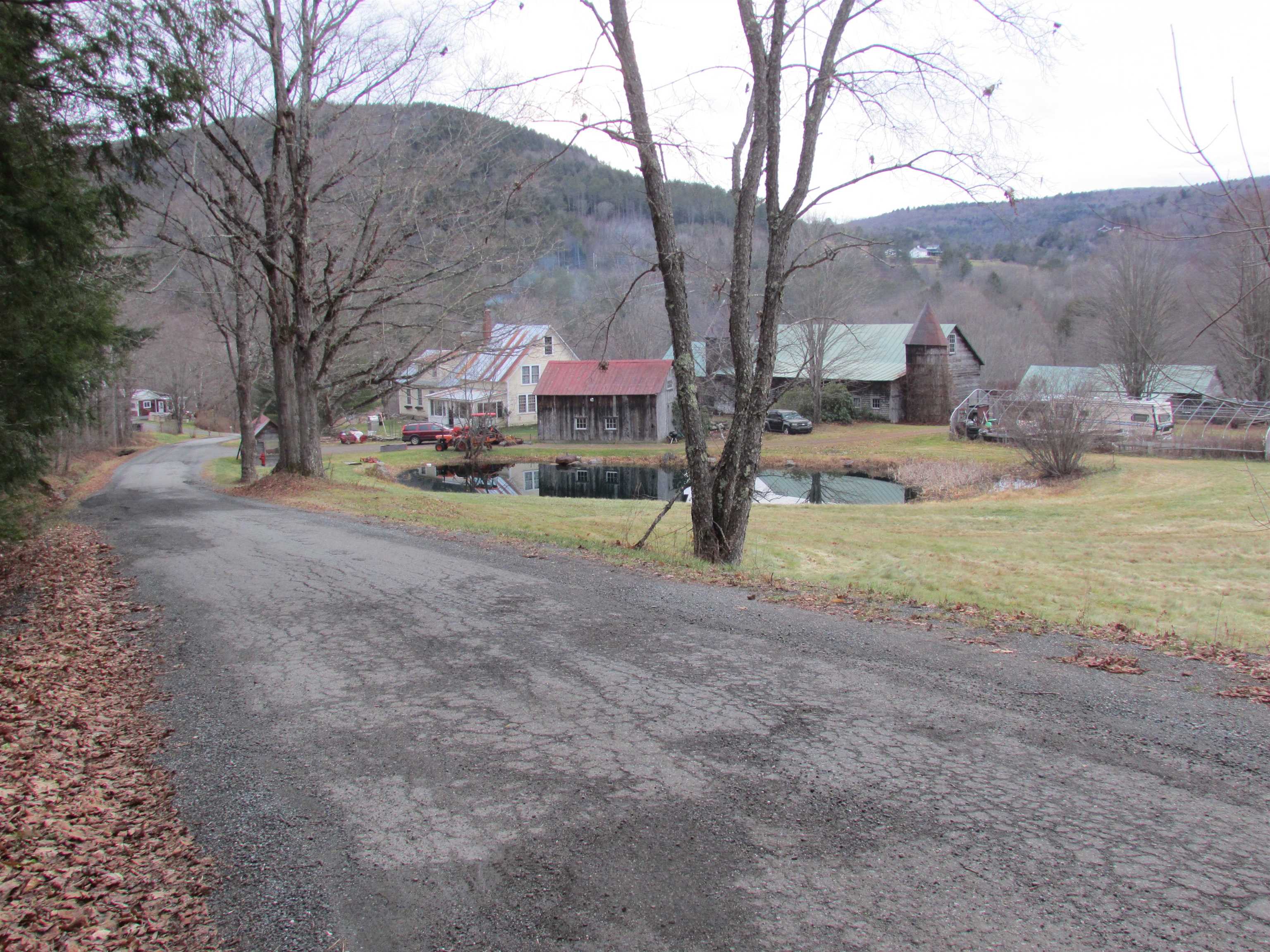 Pond on property 24219489