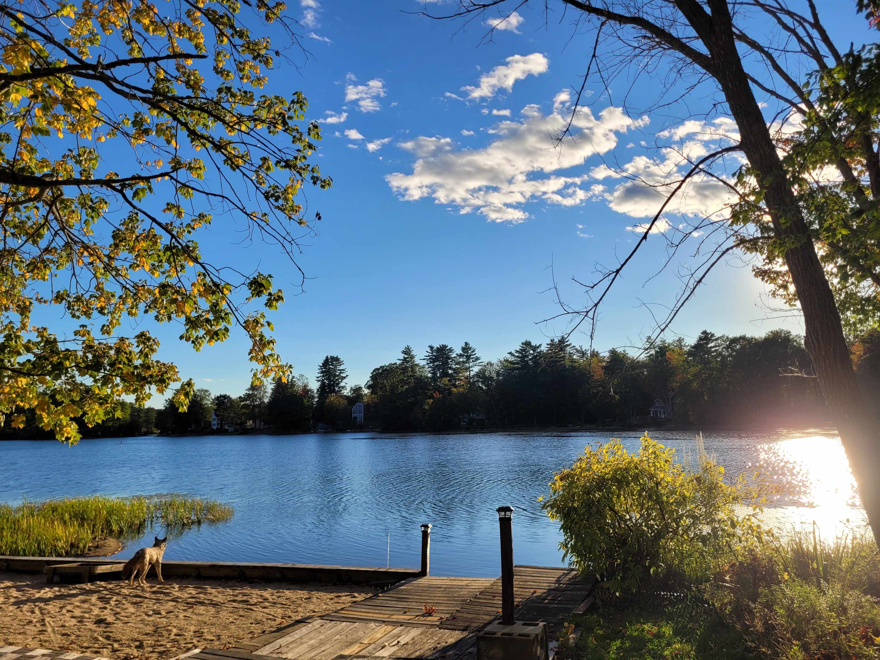 MLS 5064534: 6 Davis Lane, Barrington NH