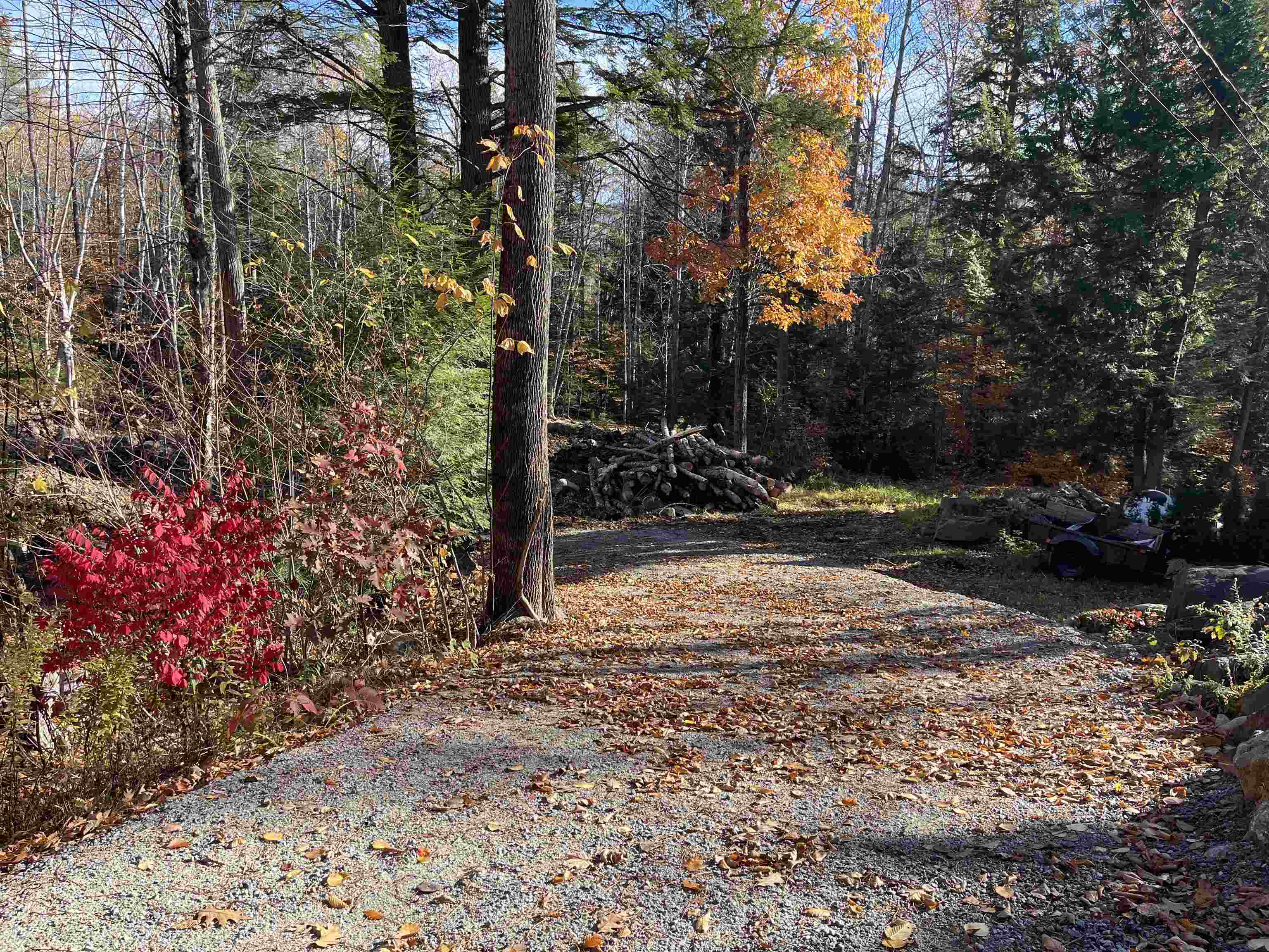 Homes for sale in Bartlett, NH | 00 Dundee Rd, Bartlett, NH 03812 | MLS# 5064552