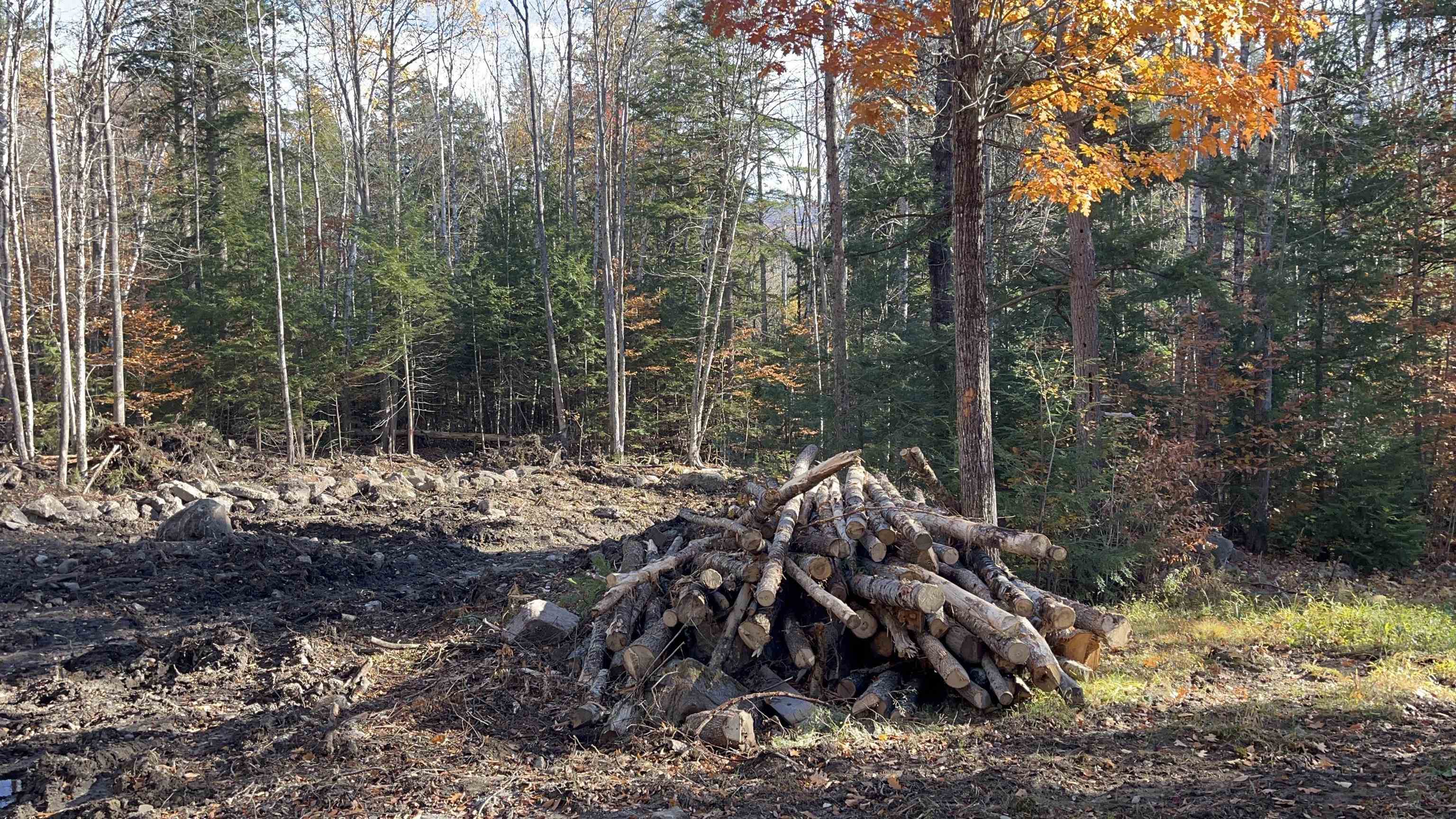 Homes for sale in Bartlett, NH | 00 Dundee Rd, Bartlett, NH 03812 | MLS# 5064552