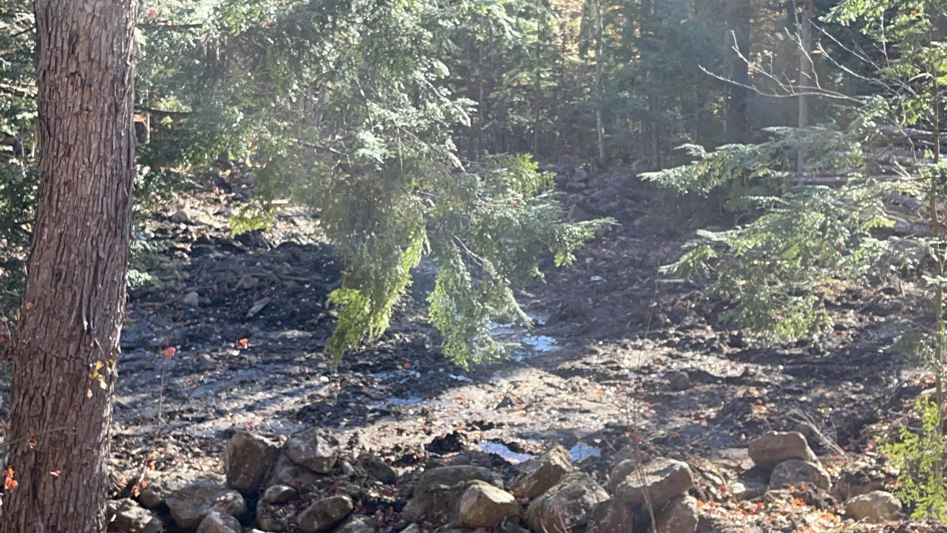 Homes for sale in Bartlett, NH | 00 Dundee Rd, Bartlett, NH 03812 | MLS# 5064552