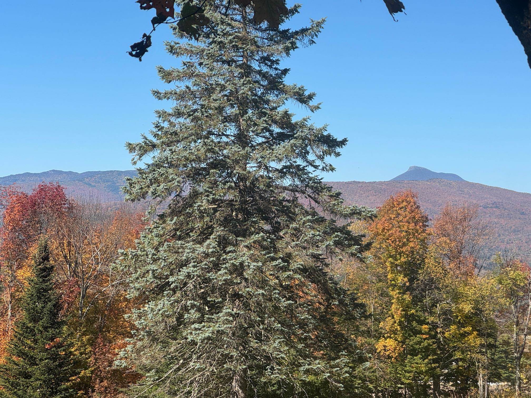 Homes for sale in Moretown, VT | 80 Wade Rd, Moretown, VT 05660 | MLS# 5064602