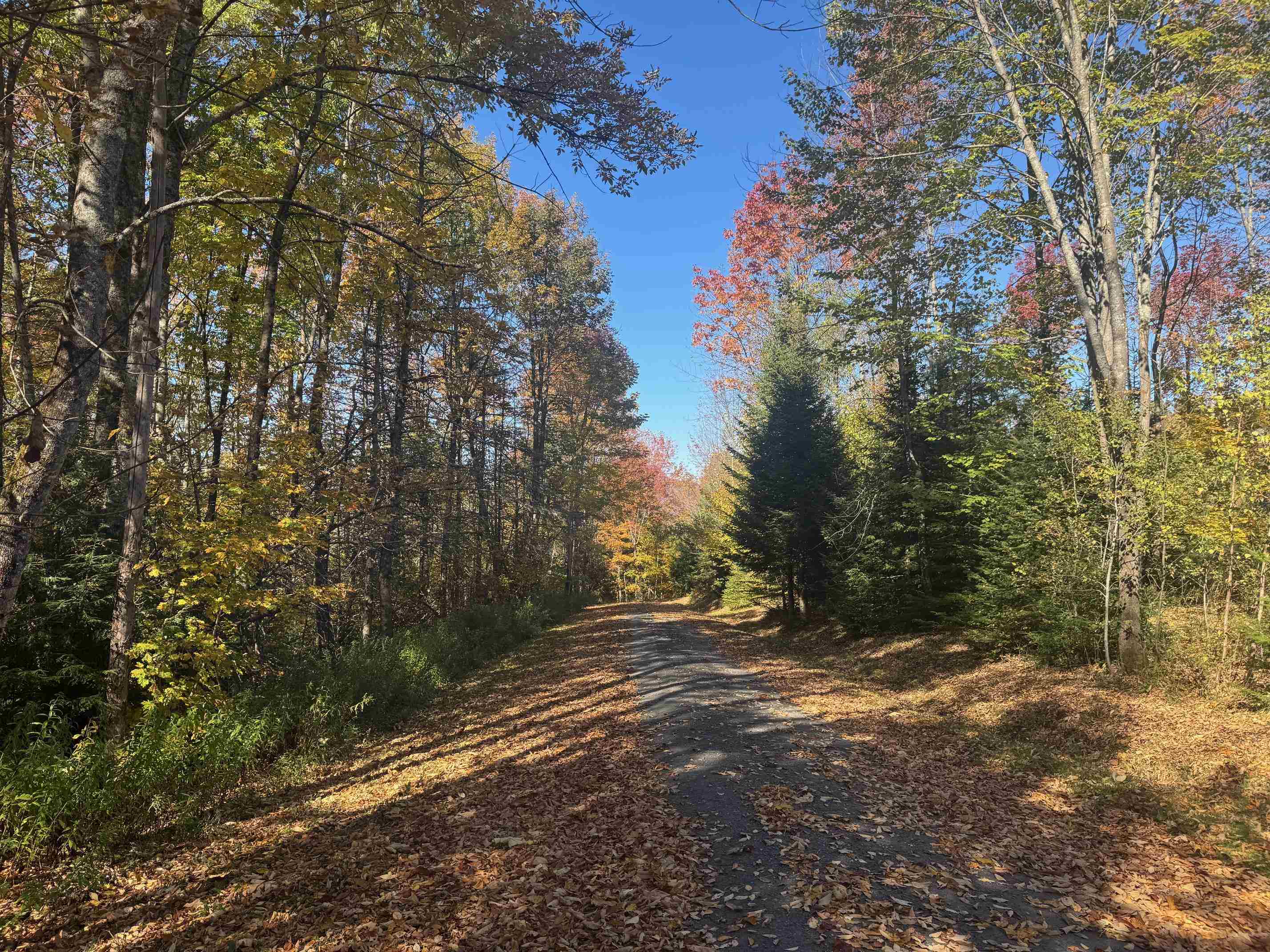 Homes for sale in Moretown, VT | 80 Wade Rd, Moretown, VT 05660 | MLS# 5064602