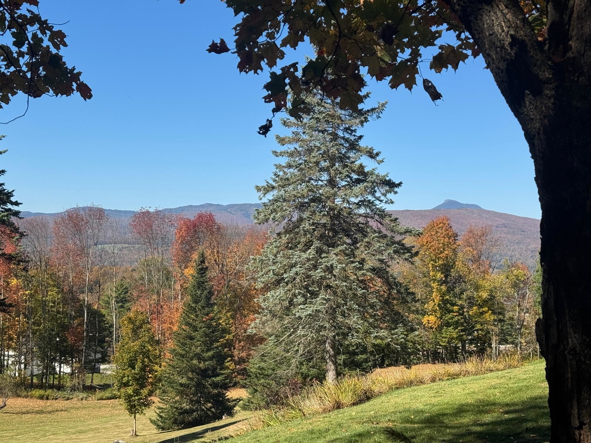 Homes for sale in Moretown, VT | 80 Wade Rd, Moretown, VT 05660 | MLS# 5064602