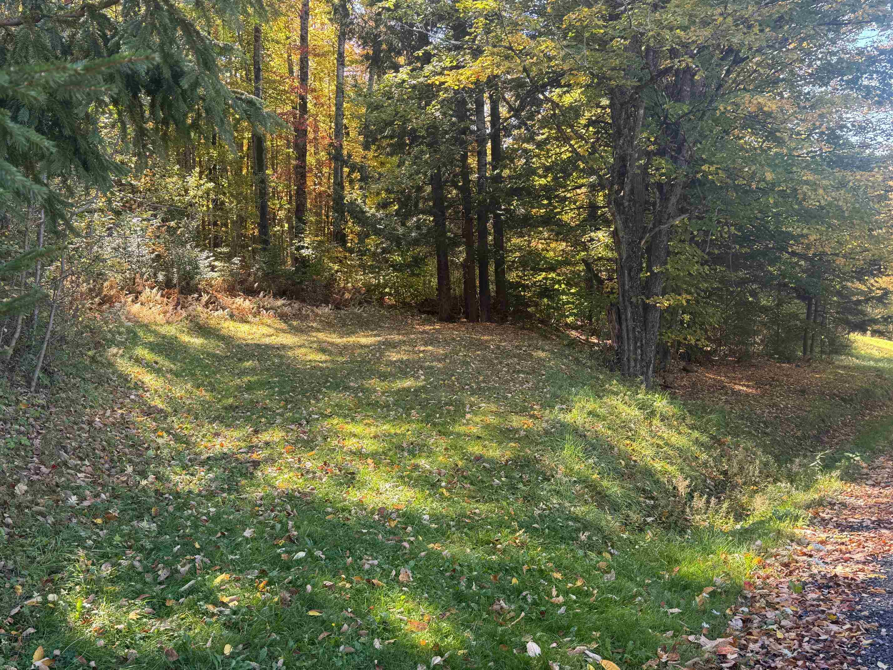 Homes for sale in Moretown, VT | 80 Wade Rd, Moretown, VT 05660 | MLS# 5064602