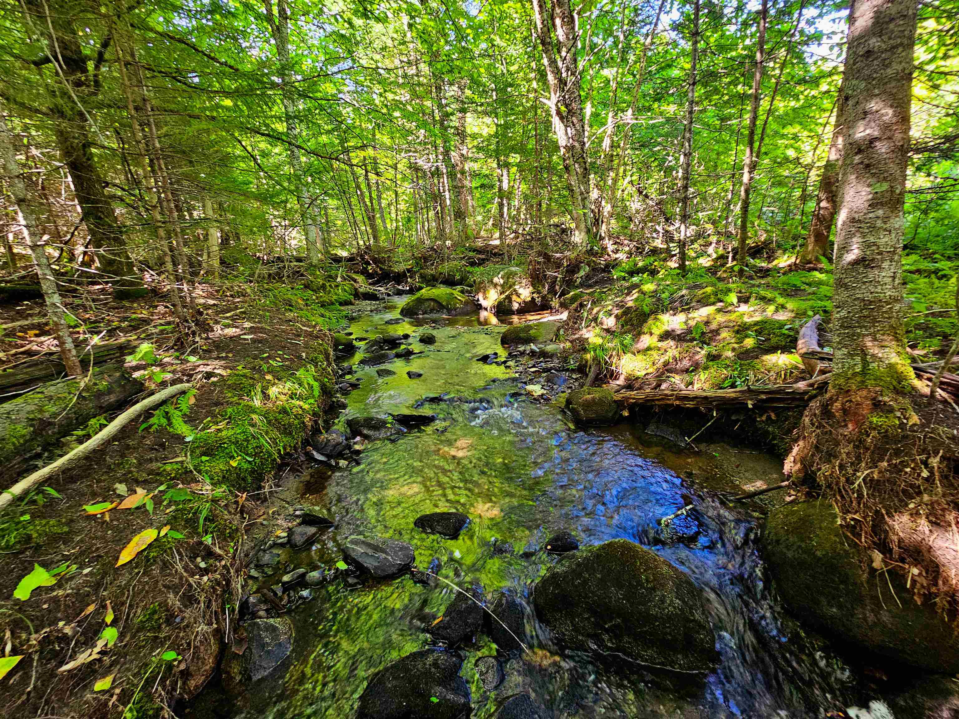 Homes for sale in Littleton, NH | 522 Mt Misery Rd, Littleton, NH 03561 | MLS# 5064629