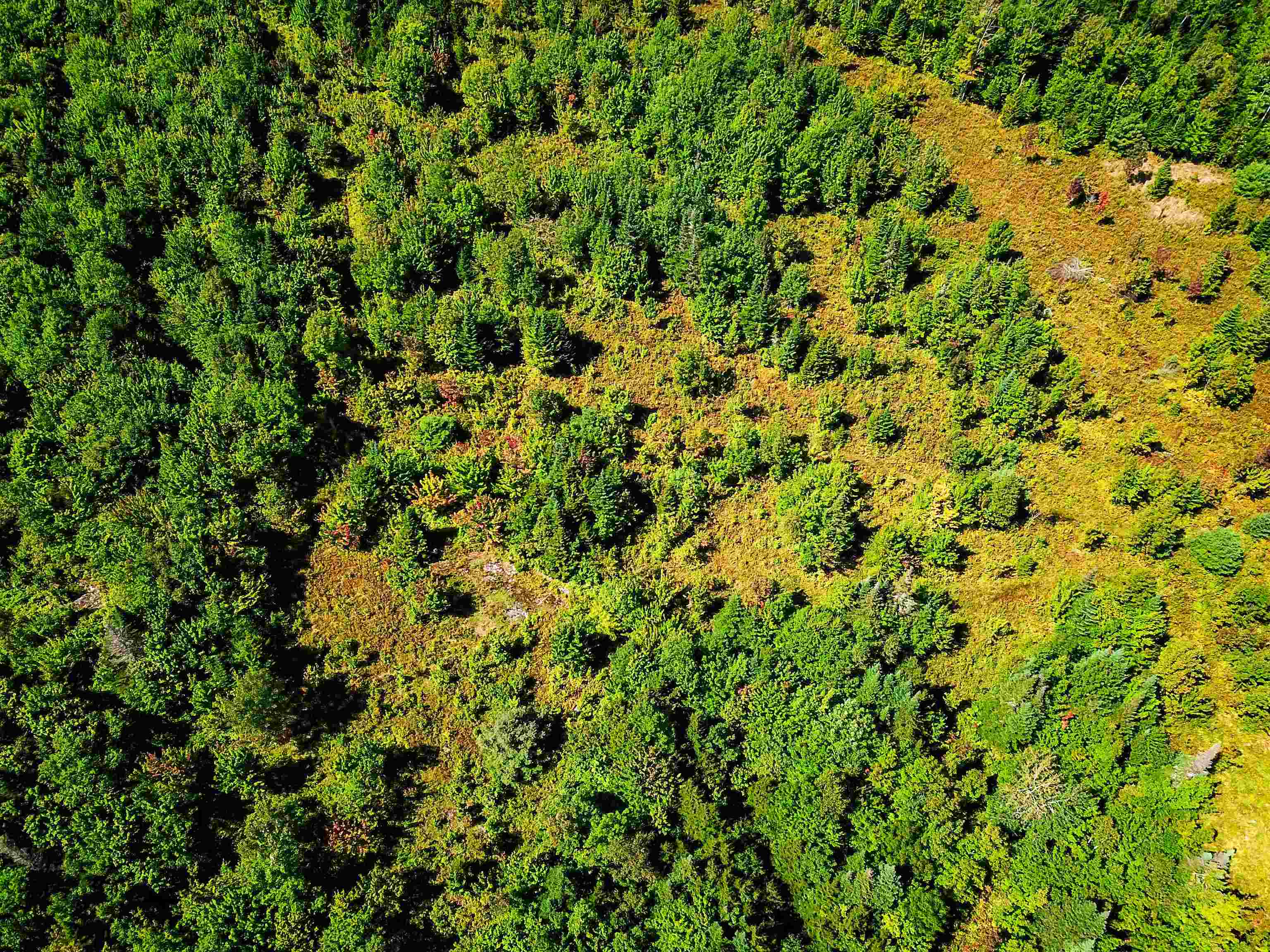 Homes for sale in Littleton, NH | 522 Mt Misery Rd, Littleton, NH 03561 | MLS# 5064629