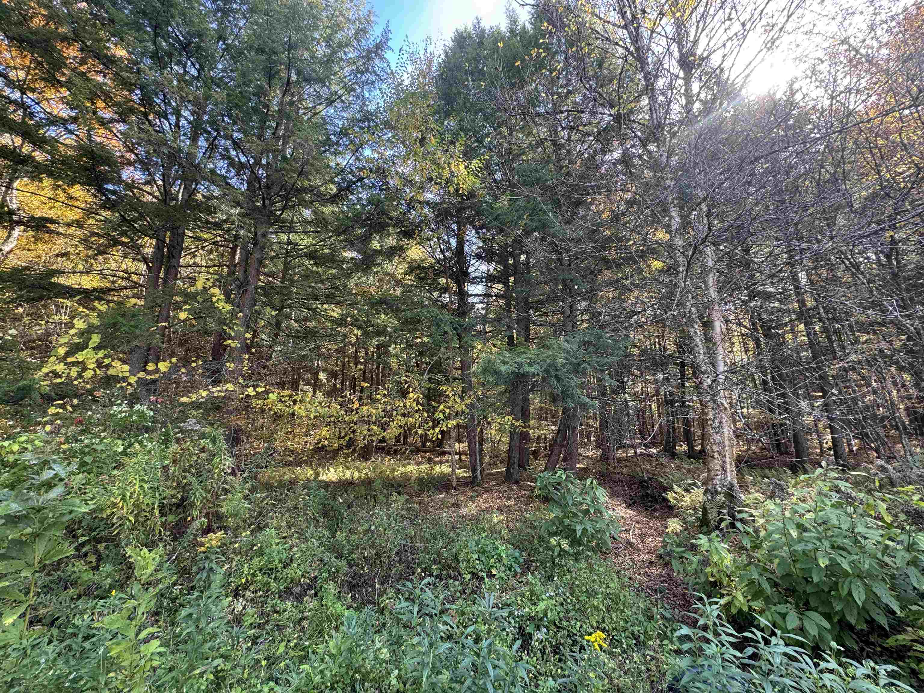 WALLINGFORD VT LAND  for sale $$65,000 | 10.06 Acres  | Price Per Acre $0 