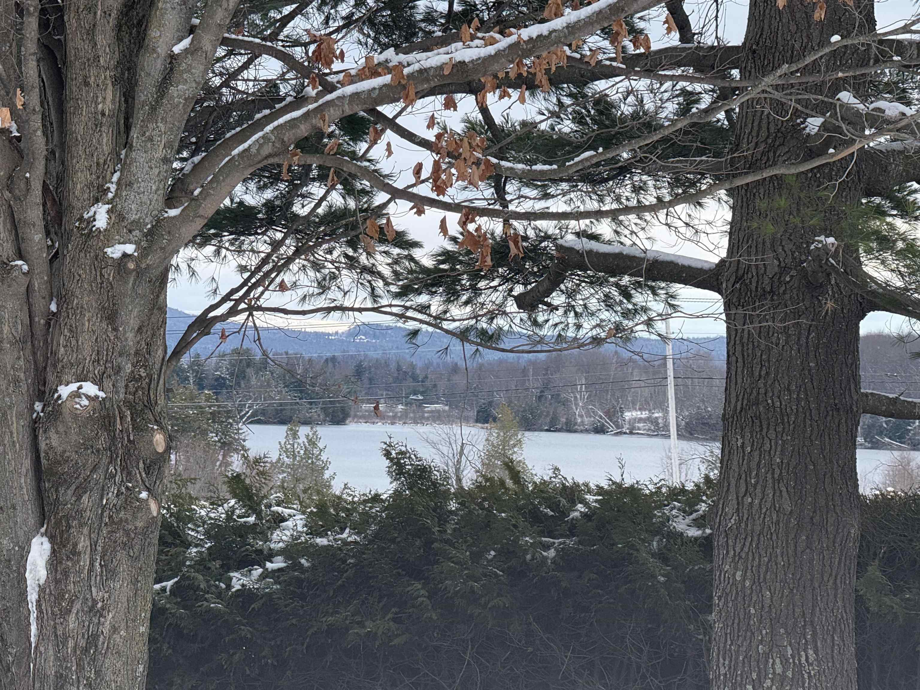 Homes for sale in Derby, VT | 2477 Route 5 #D2, Derby, VT 05829 | MLS# 5064768