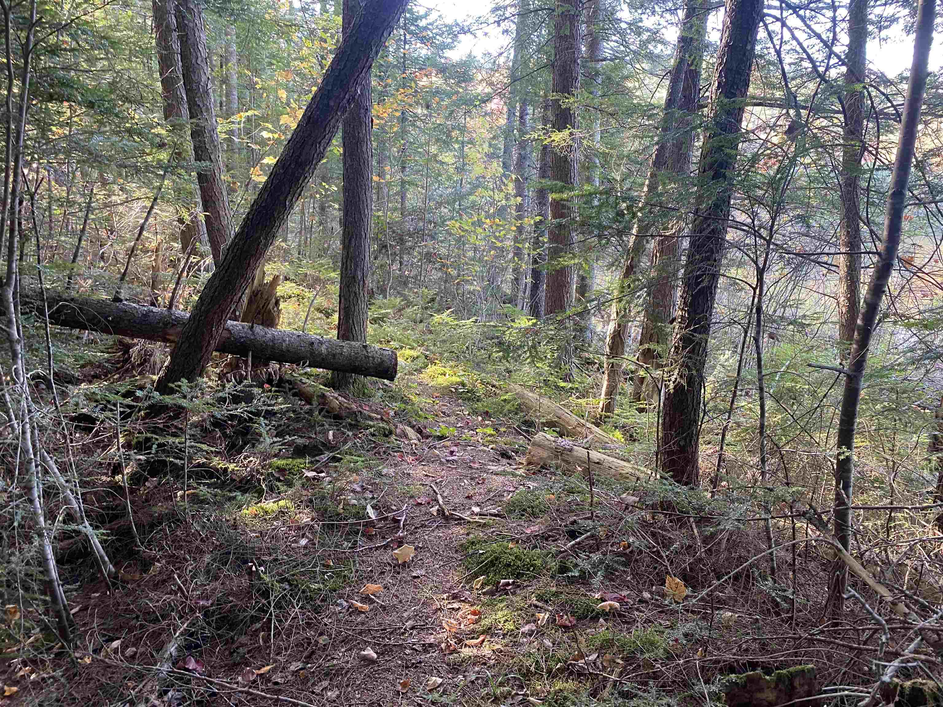 00 Round Pond Ln, Newbury, VT 05051