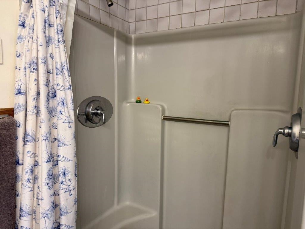 First Floor Primary Bath 24228799