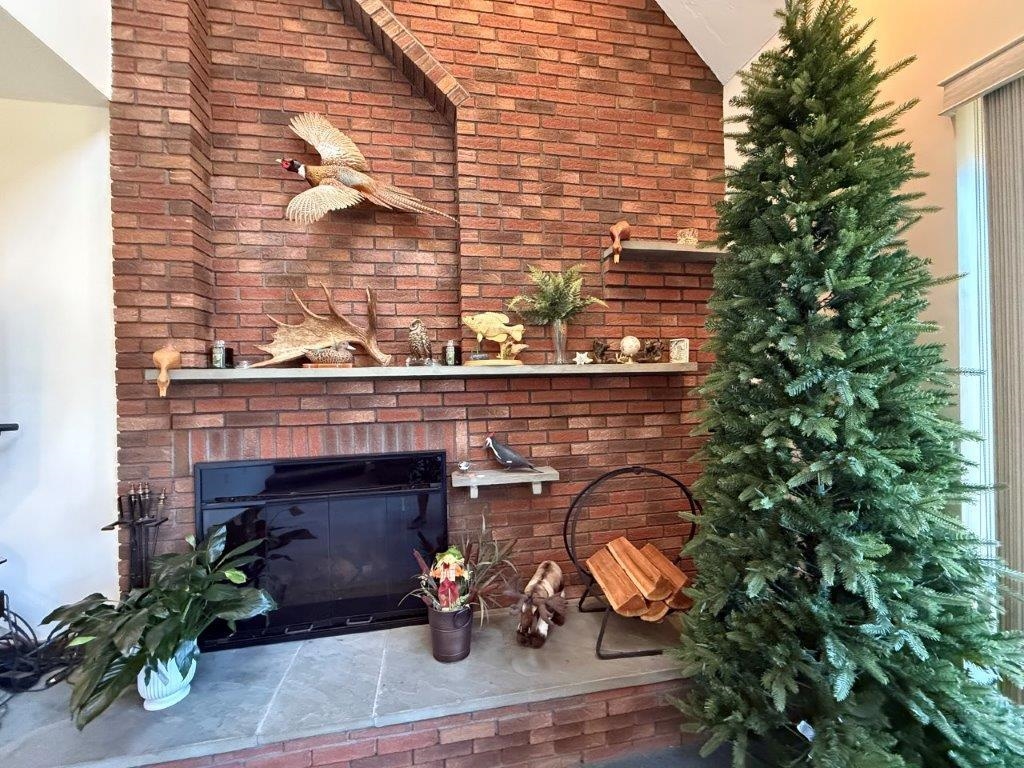 Gas Fireplace 24228790