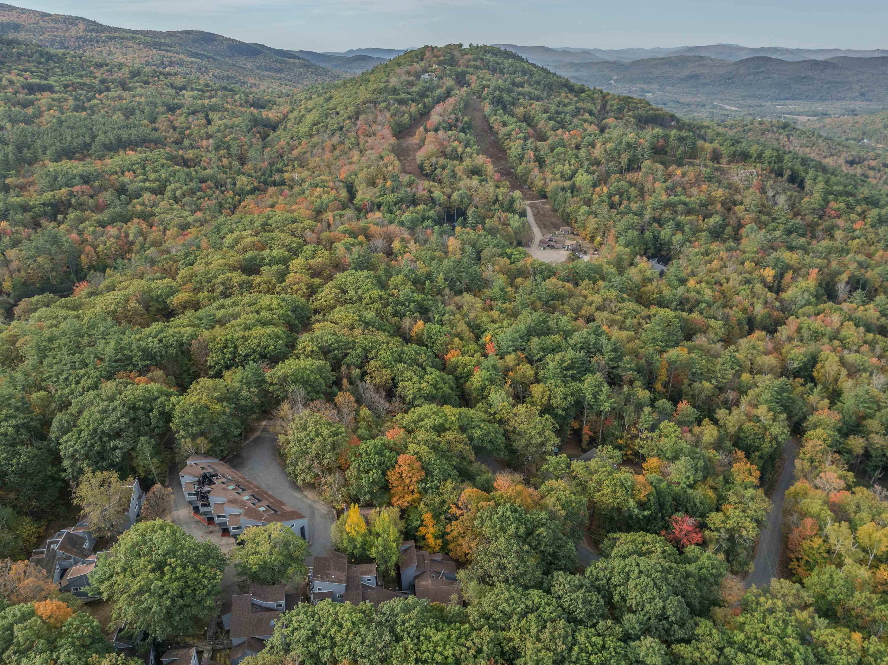 MLS #5064972 image #31