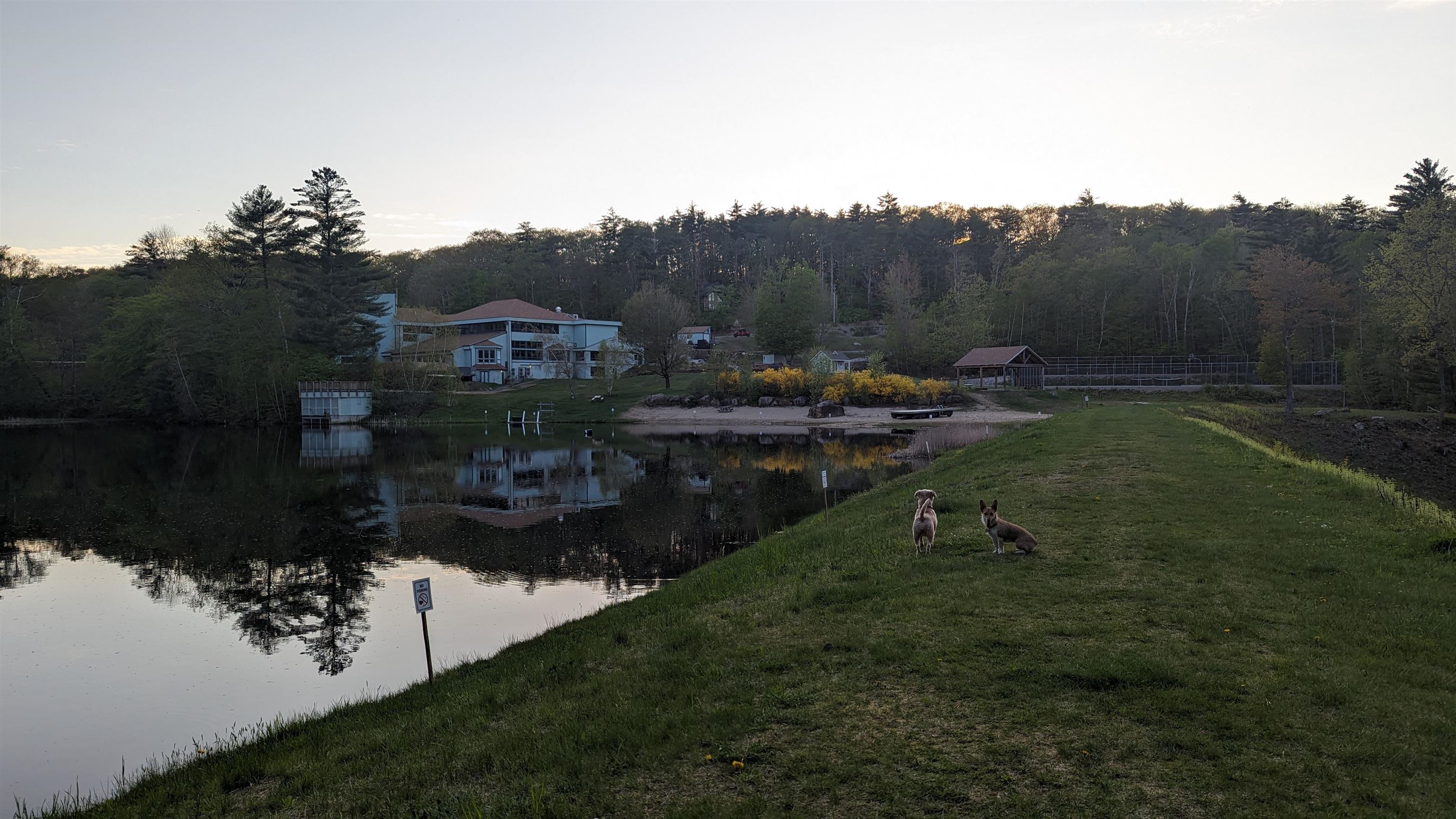 MLS #5064972 image #38