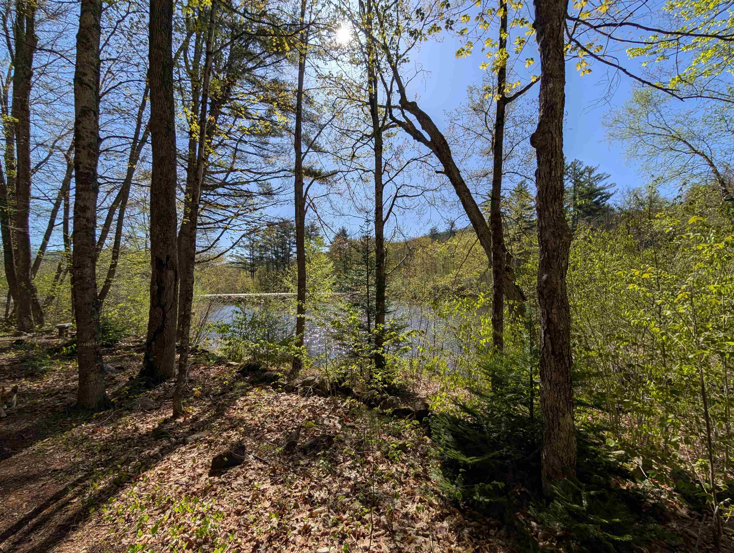 MLS #5064972 image #39