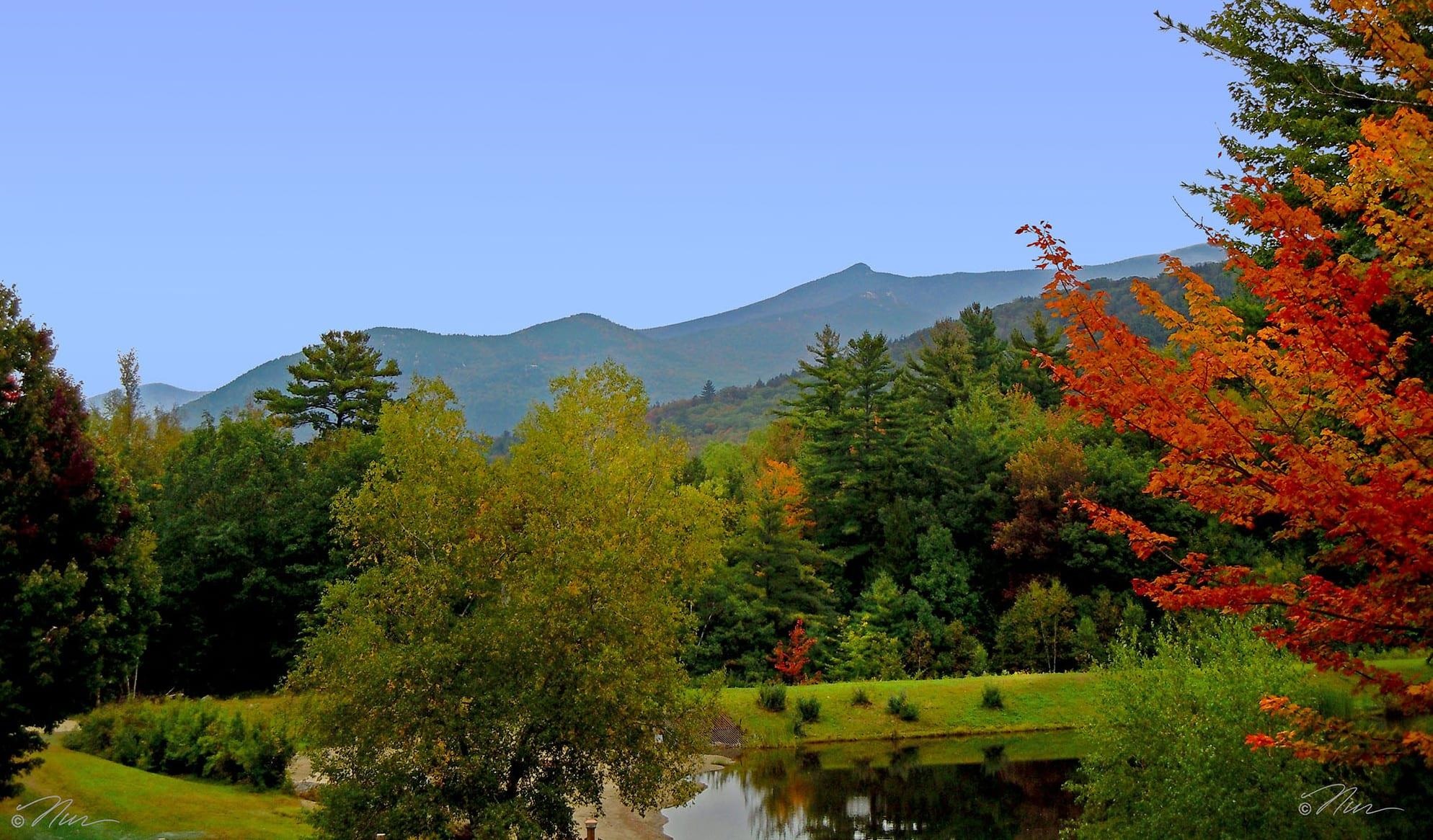 MLS #5064972 image #40