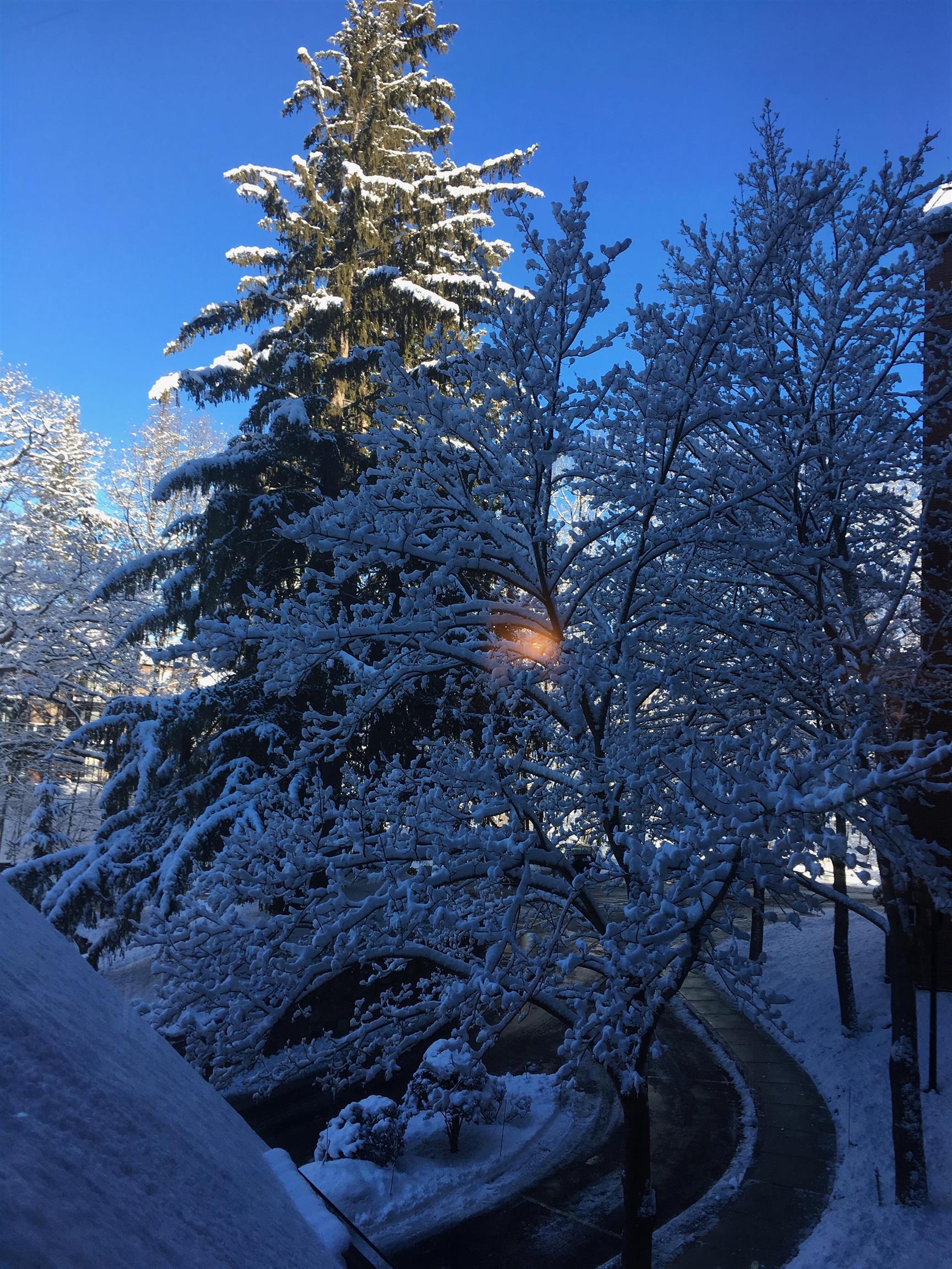 Homes for sale in Manchester, NH | 300 River Rd #407, Manchester, NH 03104 | MLS# 5065007