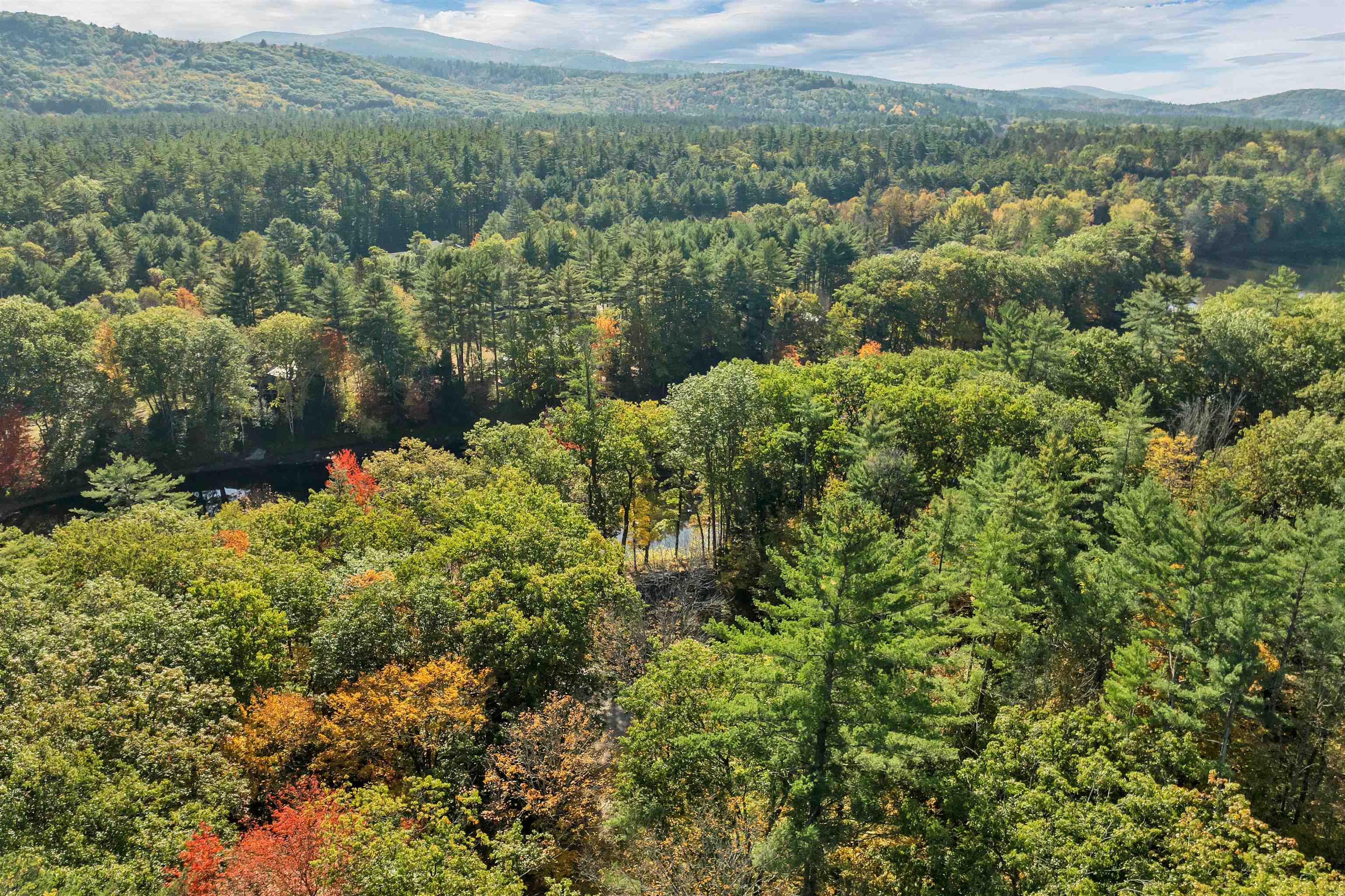 MLS #5065009 image #40