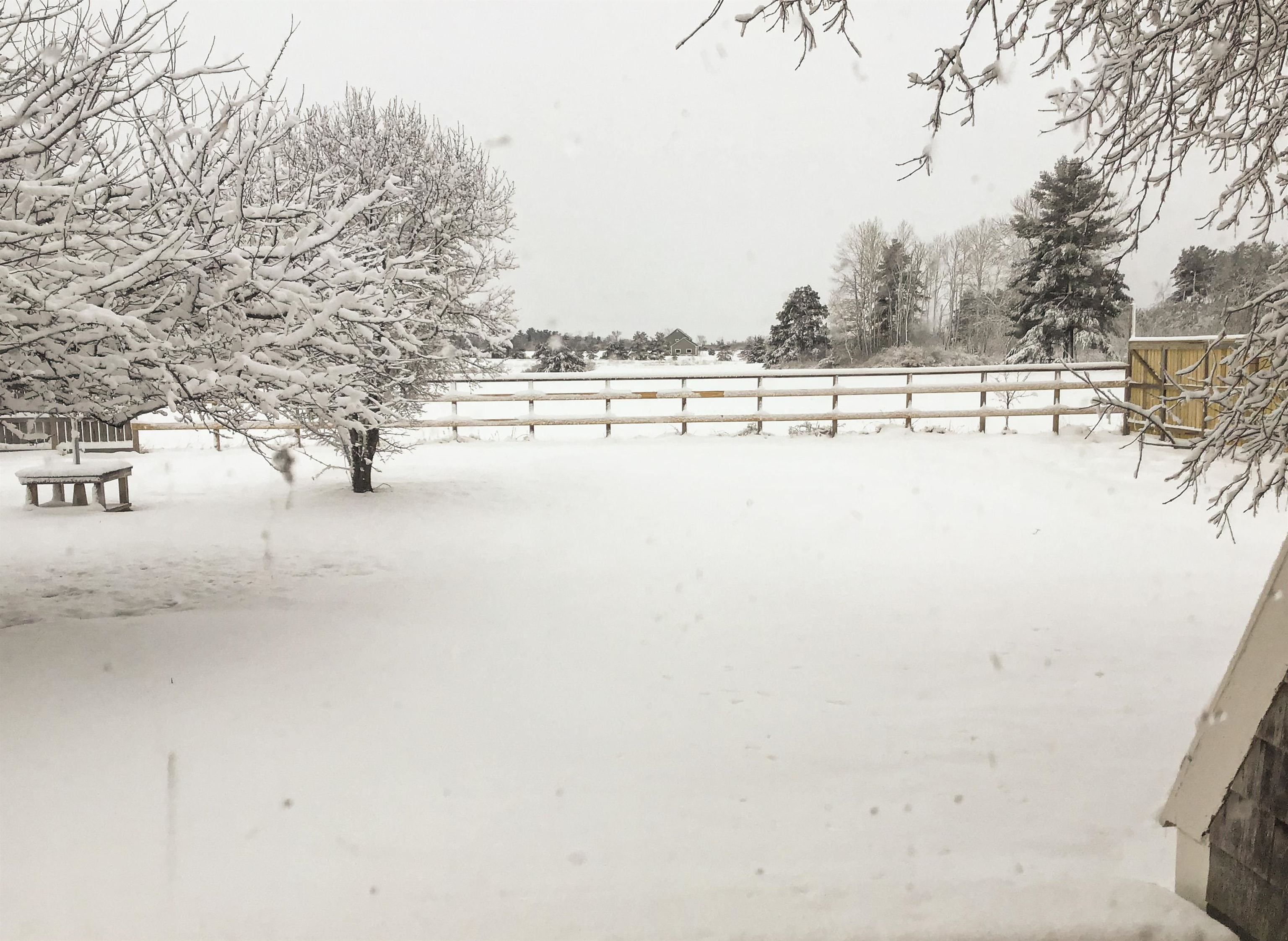 Homes for sale in Bridport, VT | 8269 Route 125, Bridport, VT 05734 | MLS# 5065040