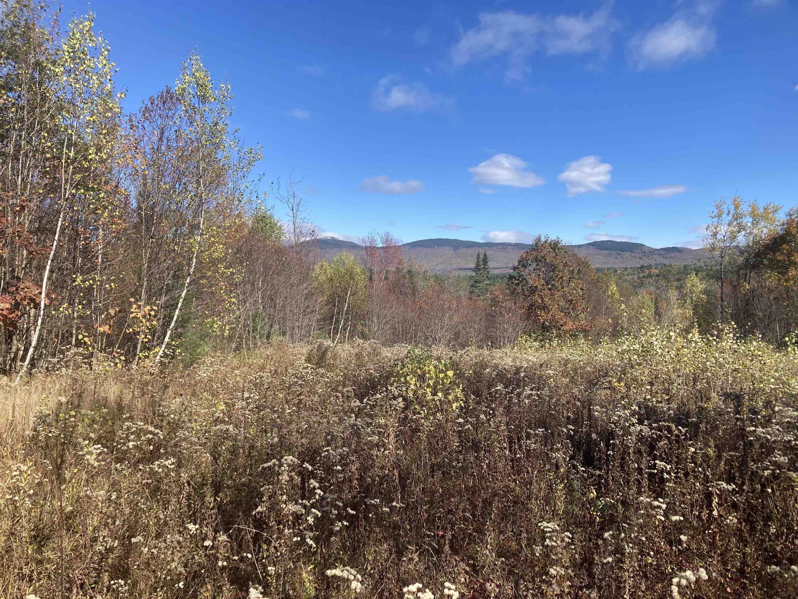 Grafton NH Land for sale $205,000 | 43.8 Acres  | Price Per Acre $0  | Total Lots 2