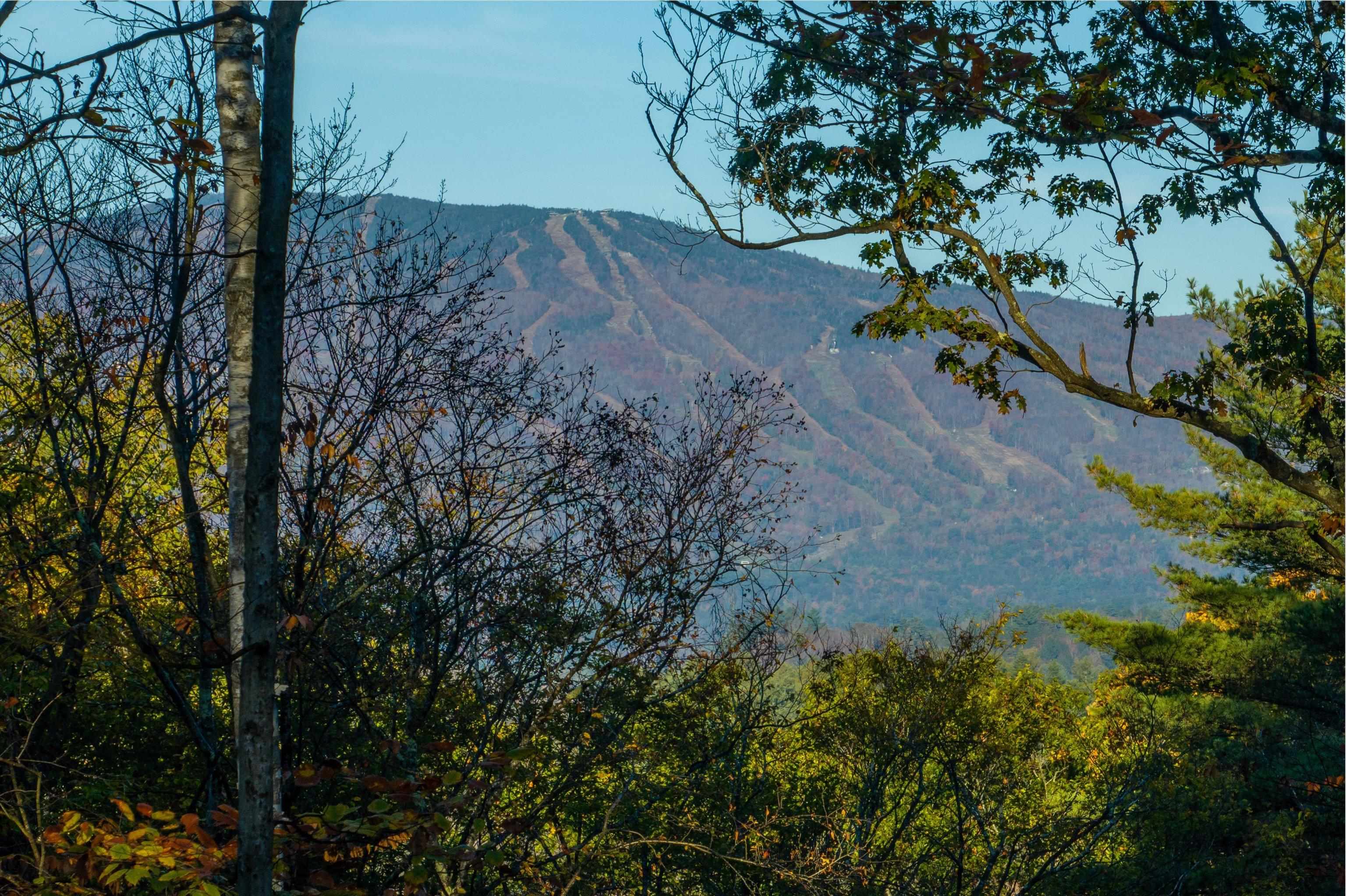 CAVENDISH VT LAND  for sale $$120,000 | 3.6 Acres  | Price Per Acre $0  | Total Lots 2