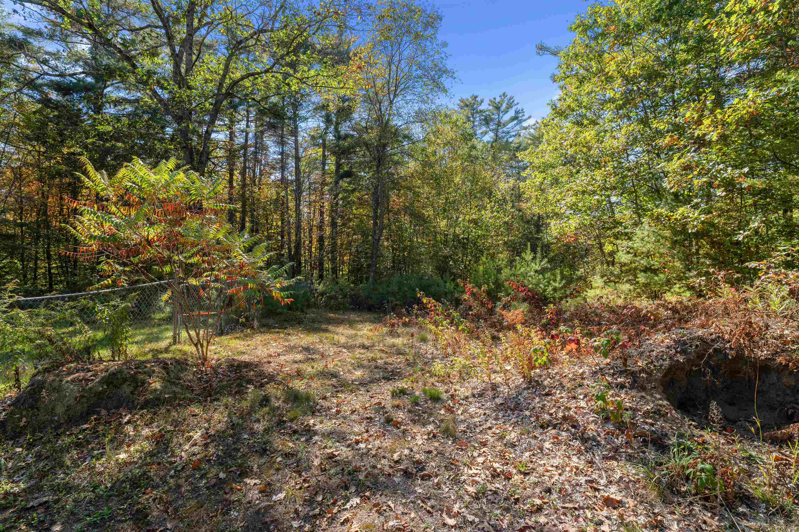 MLS #5065127 image #47