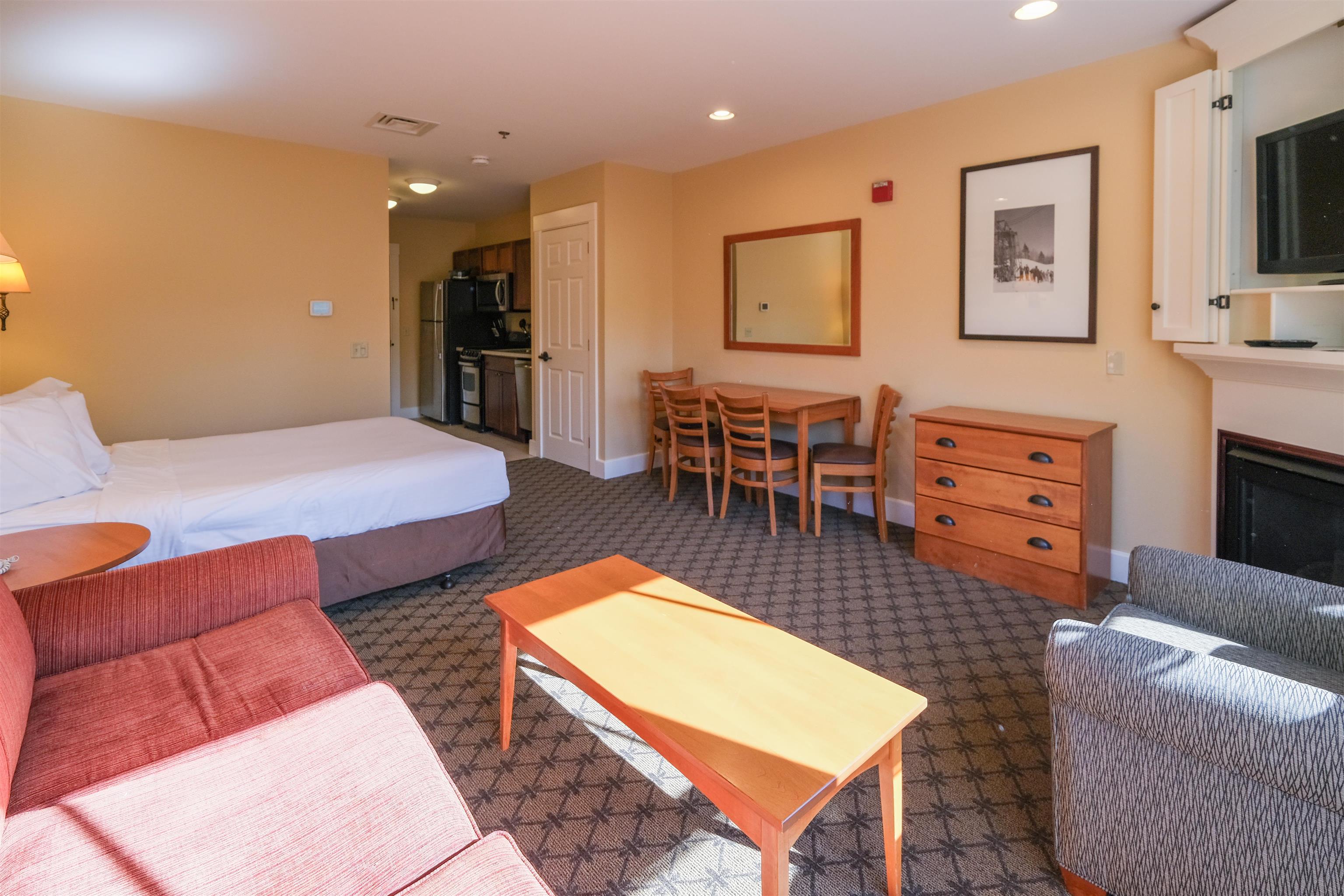 Spacious studio 24250260