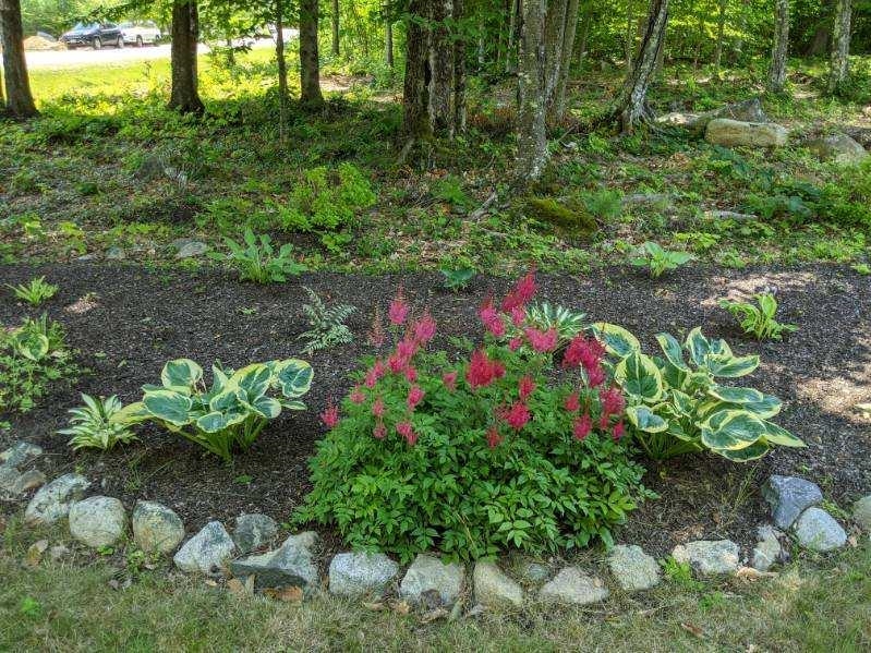 MLS #5065142 image #13