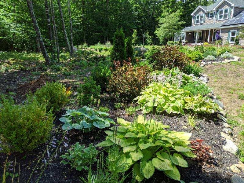 MLS #5065142 image #14