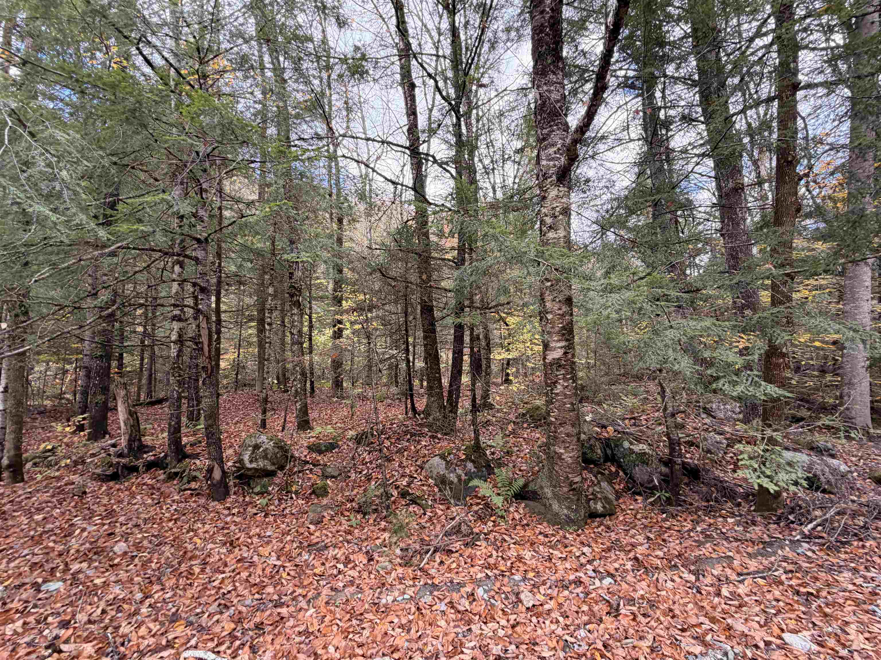 Homes for sale in Middlesex, VT | Th 2 Brook Rd, Middlesex, VT 05602 | MLS# 5065220