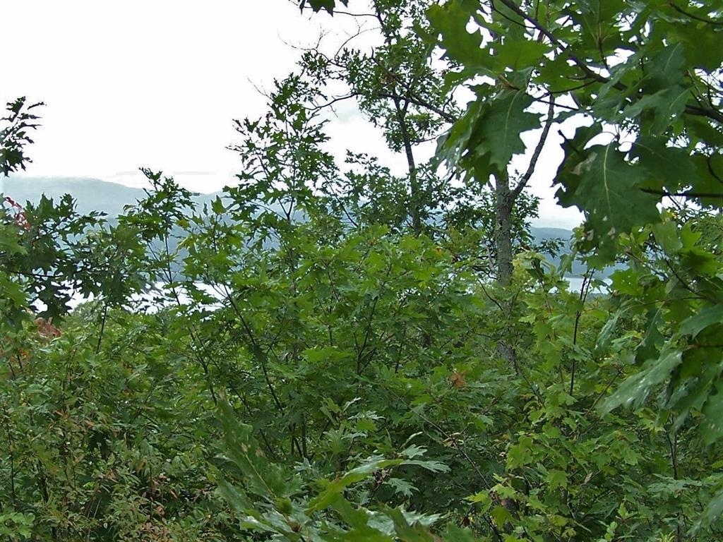 Homes for sale in Bristol, NH | Lot 7 Hall Rd, Bristol, NH 03222 | MLS# 5065244