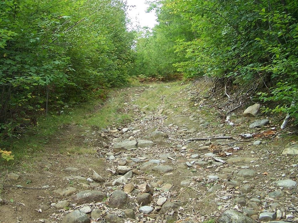 MLS #5065244 image #6