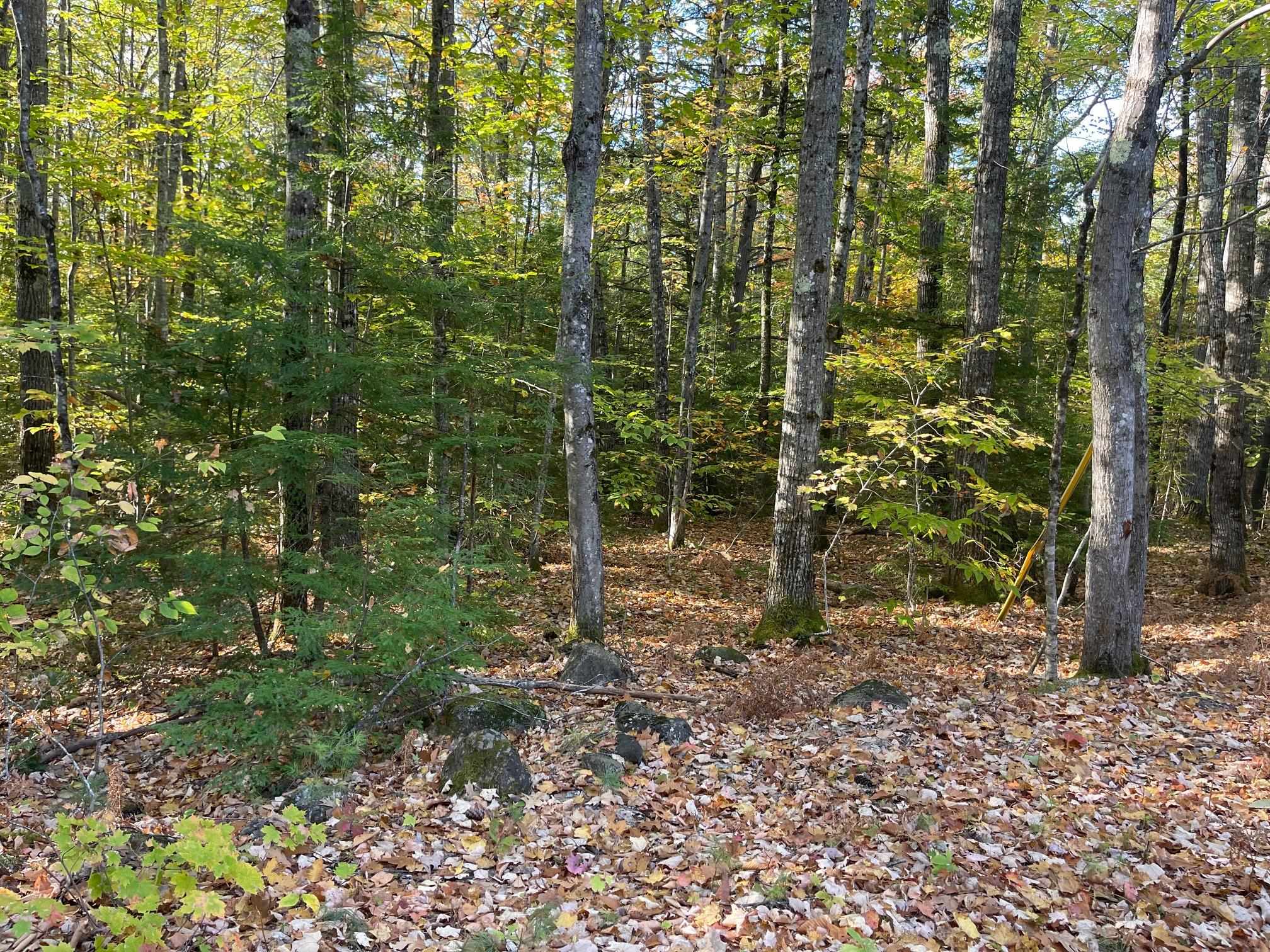 00 Mooney Hill Rd, Madison, NH 03849