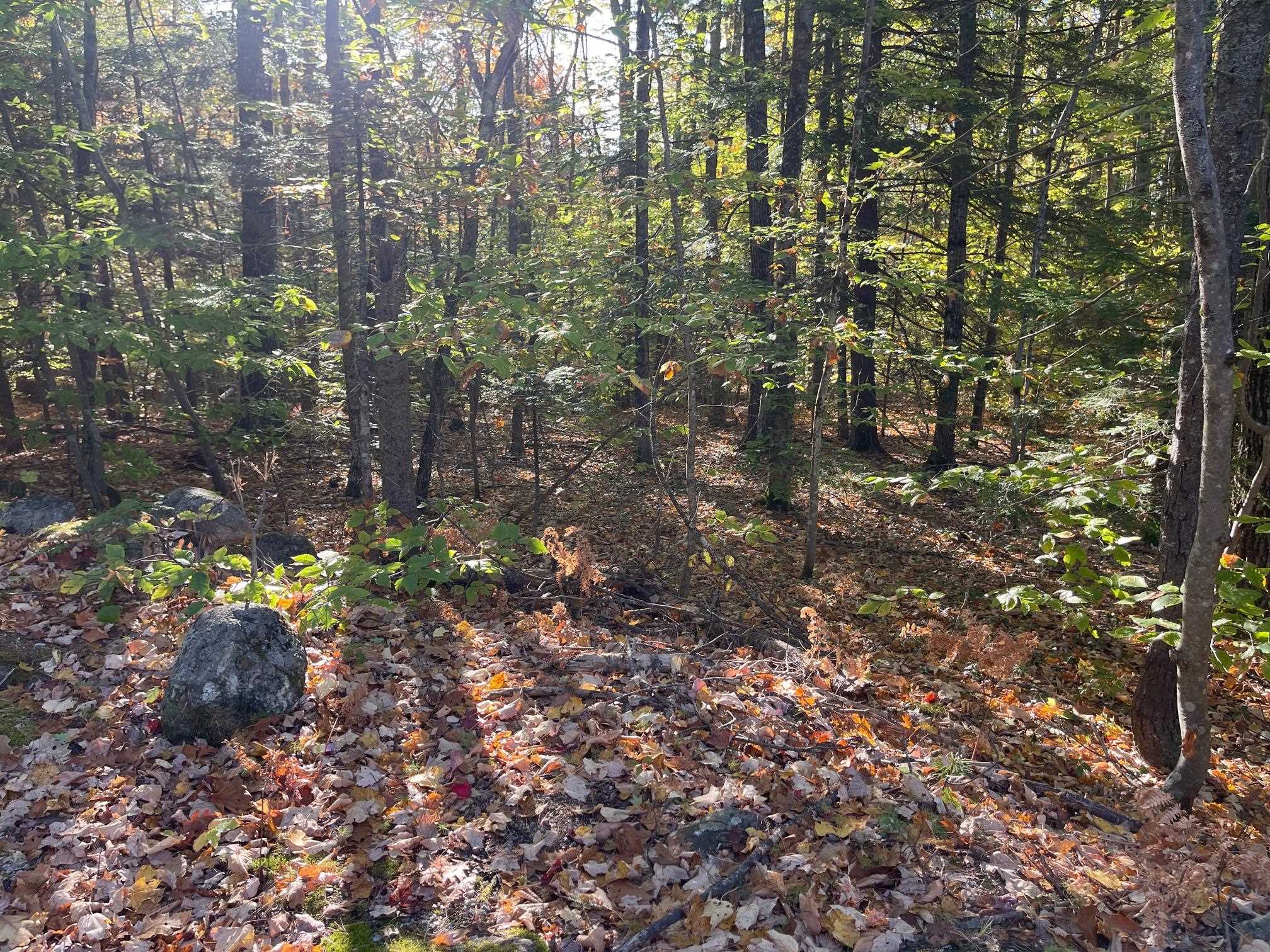 00 Mooney Hill Rd, Madison, NH 03849